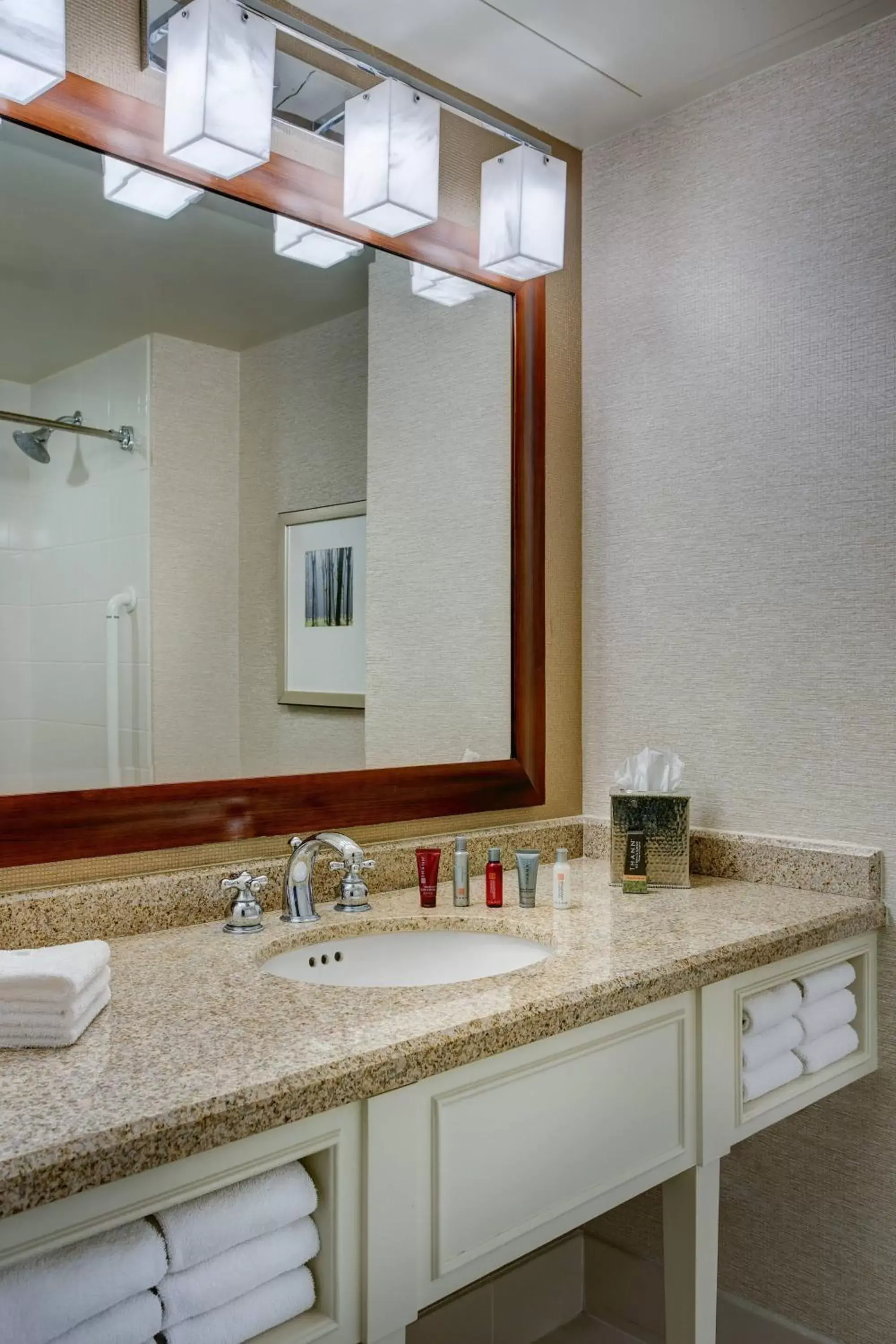 Bathroom in The Woodlands Waterway Marriott Hotel and Convention Center