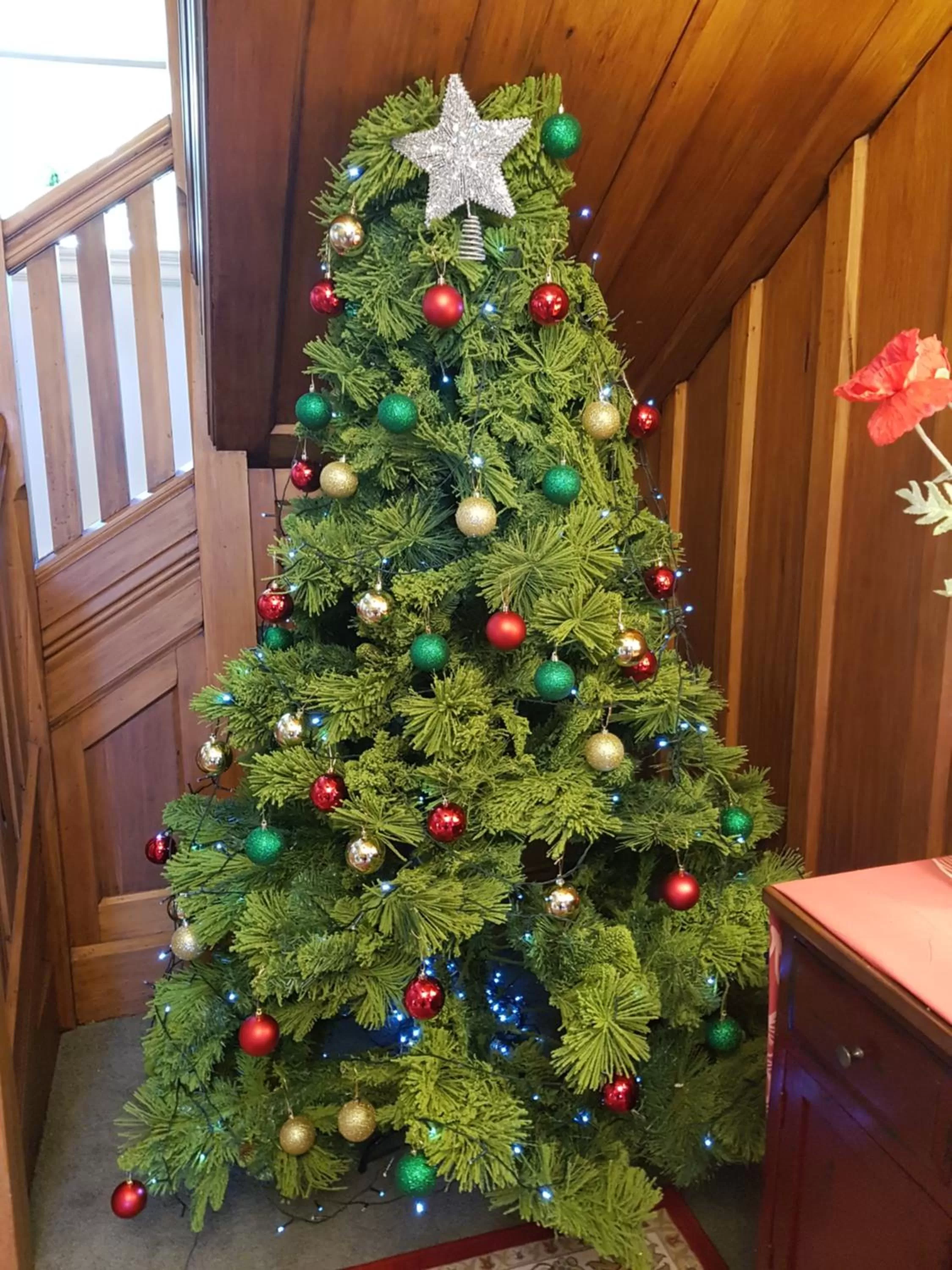 The Ocean Breeze CBD