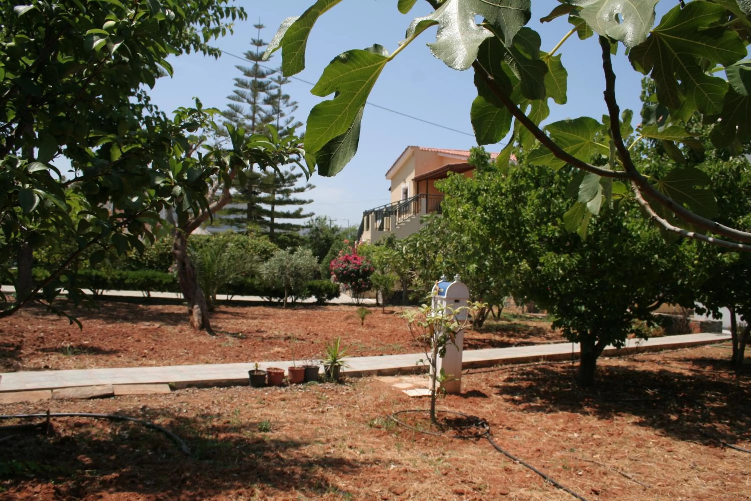 Garden in Villa Medusa