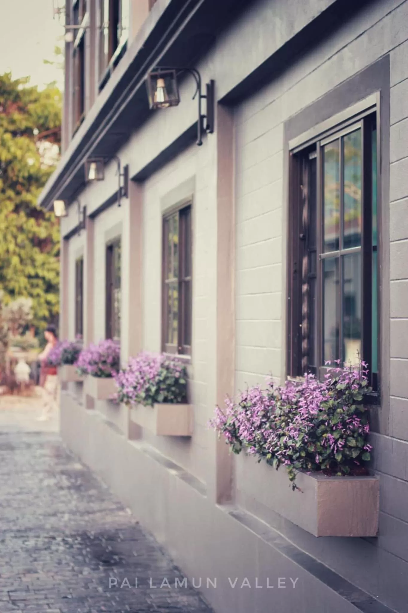 Property building in PAI LAMUN VALLEY