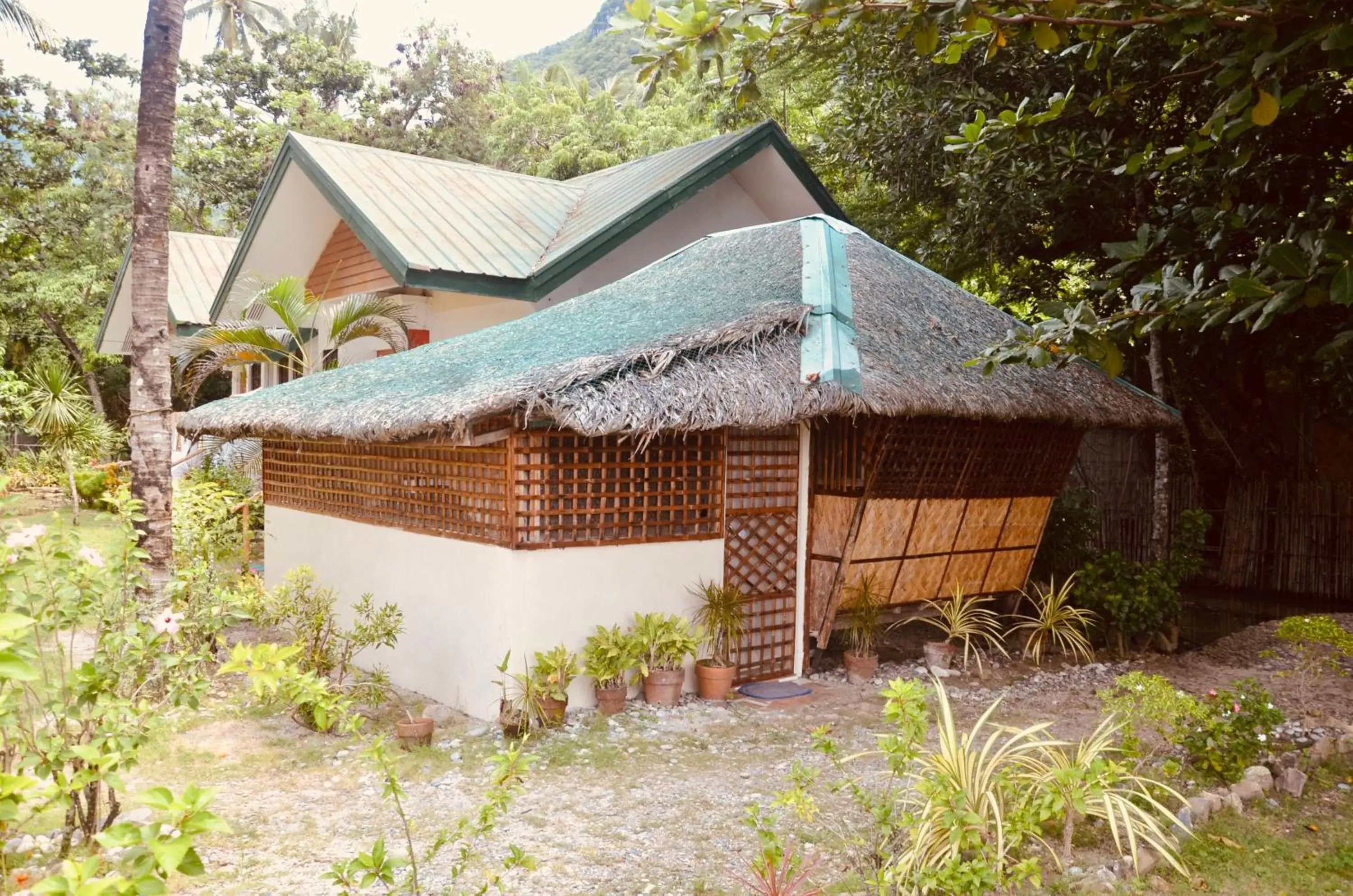 Property Building in Amami Beach Resort