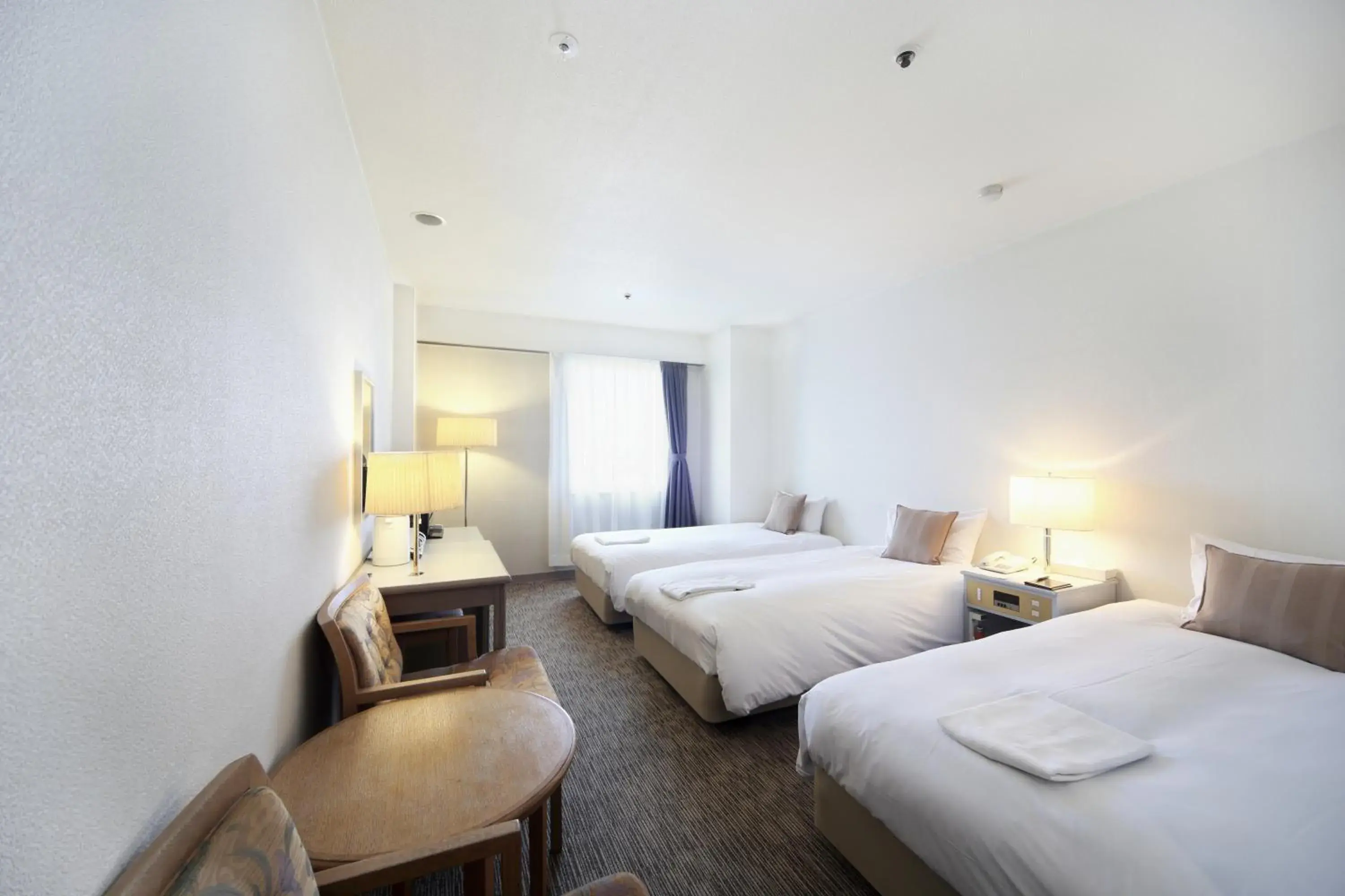 Photo of the whole room, Room Photo in Asahikawa Toyo Hotel