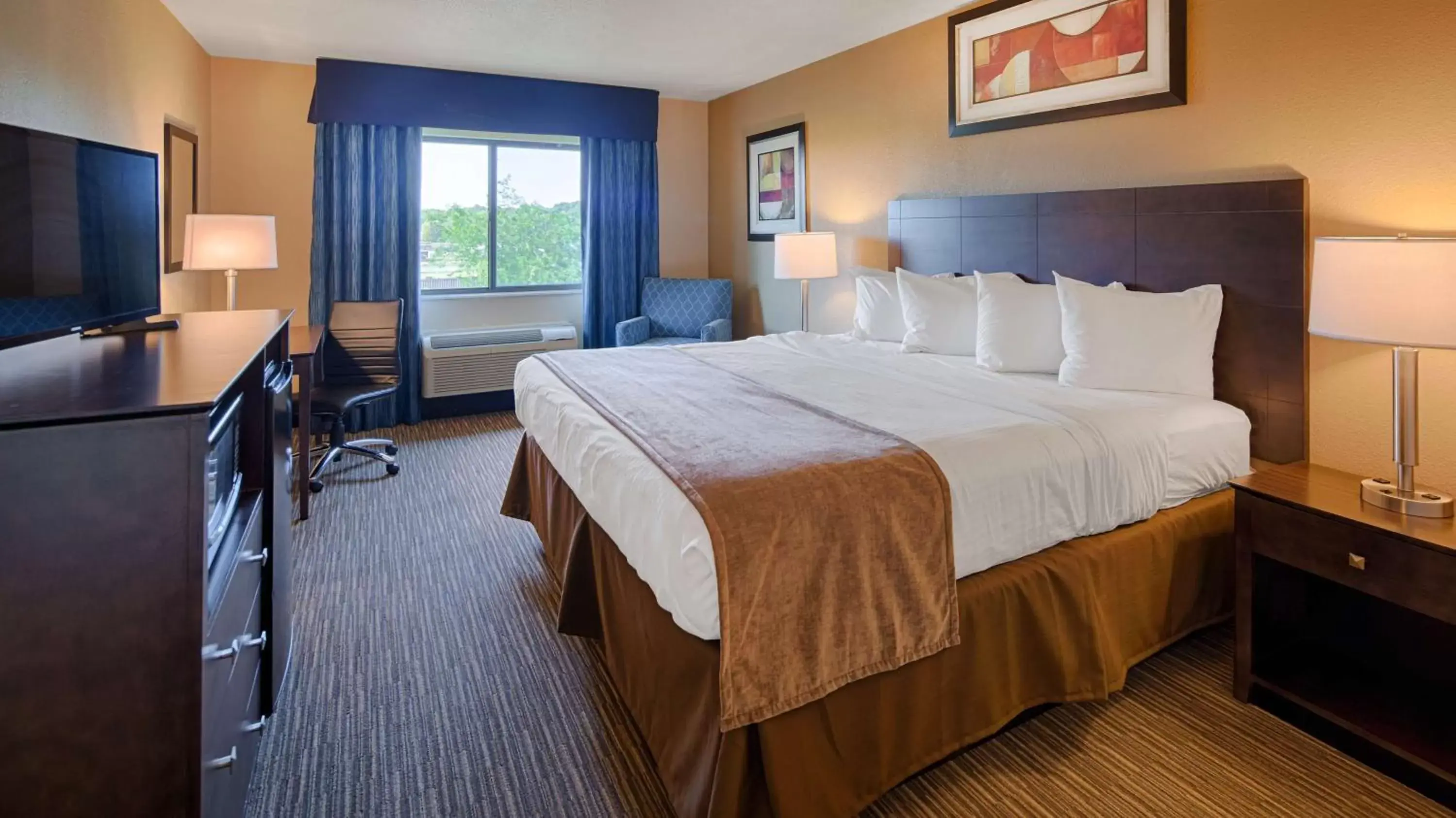 Photo of the whole room, Bed in Best Western Port Huron Blue Water Bridge