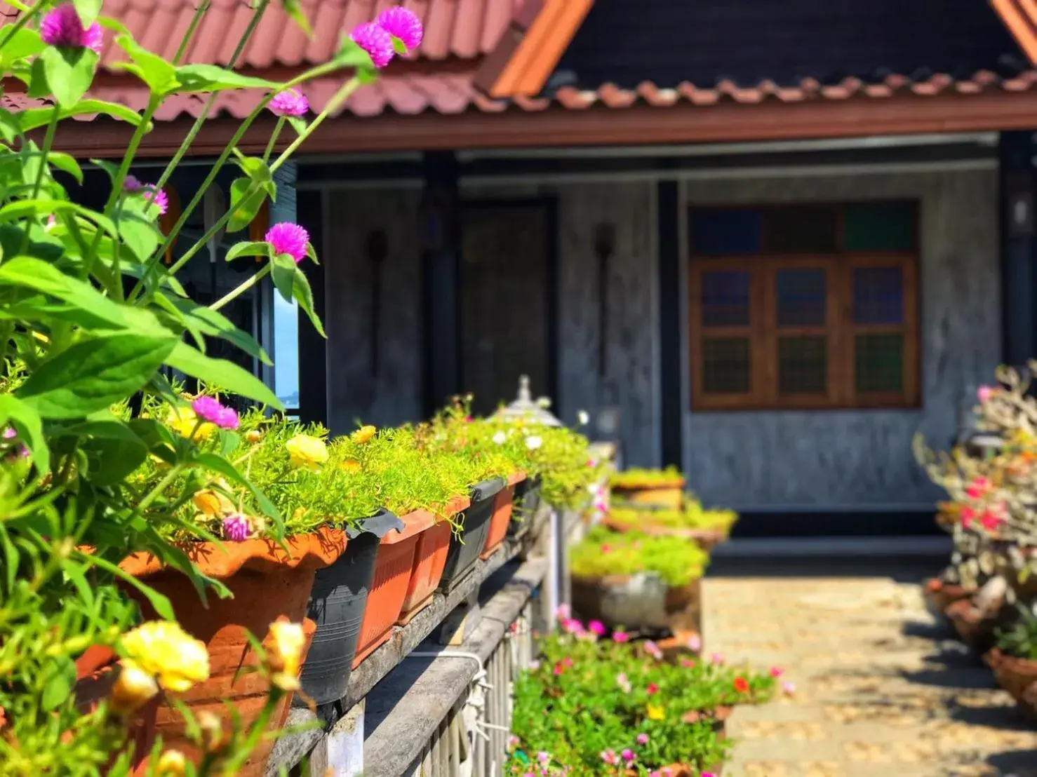 Property building in The mangrove old town