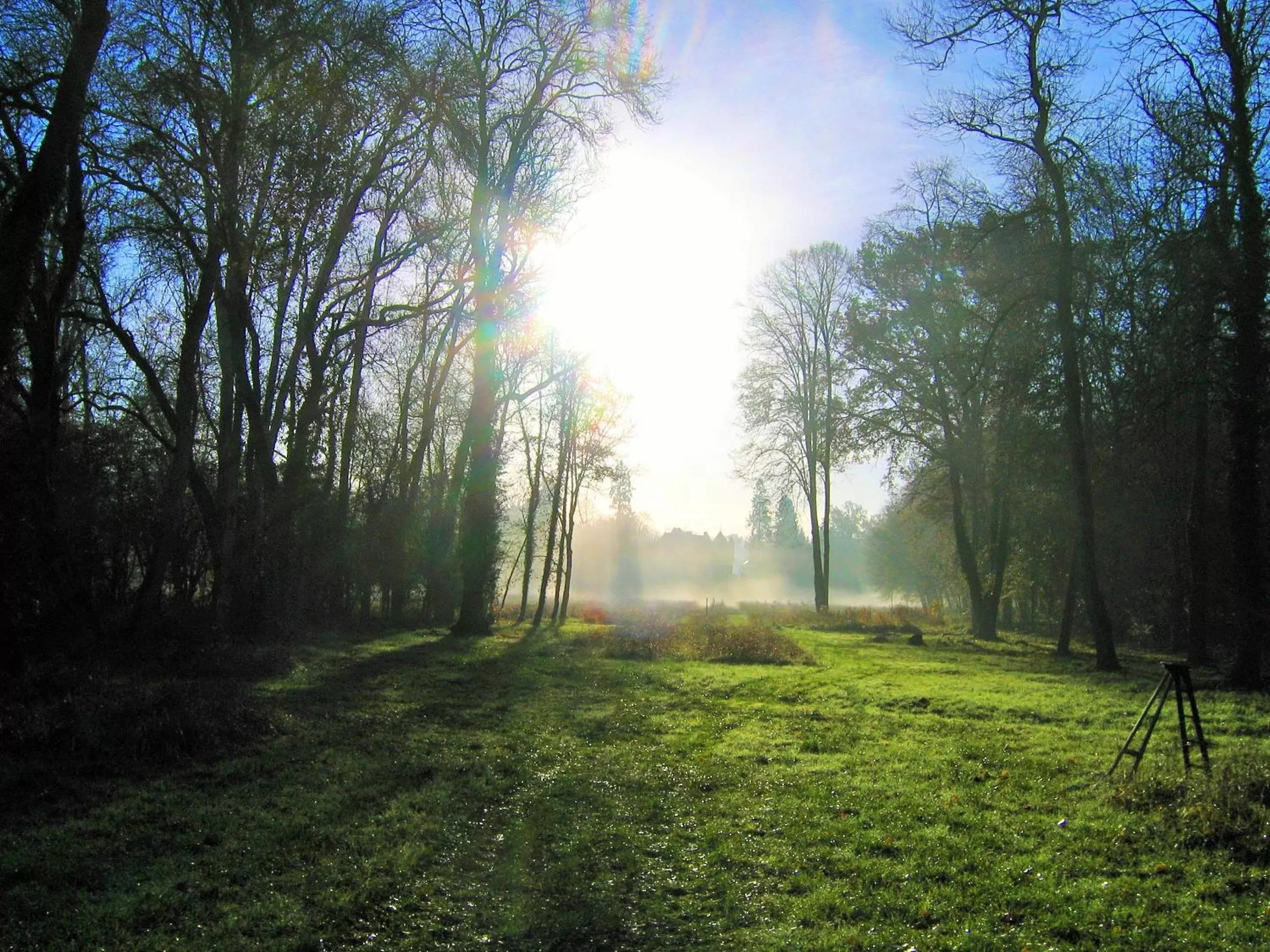 Natural landscape in Manoir de la Rémonière