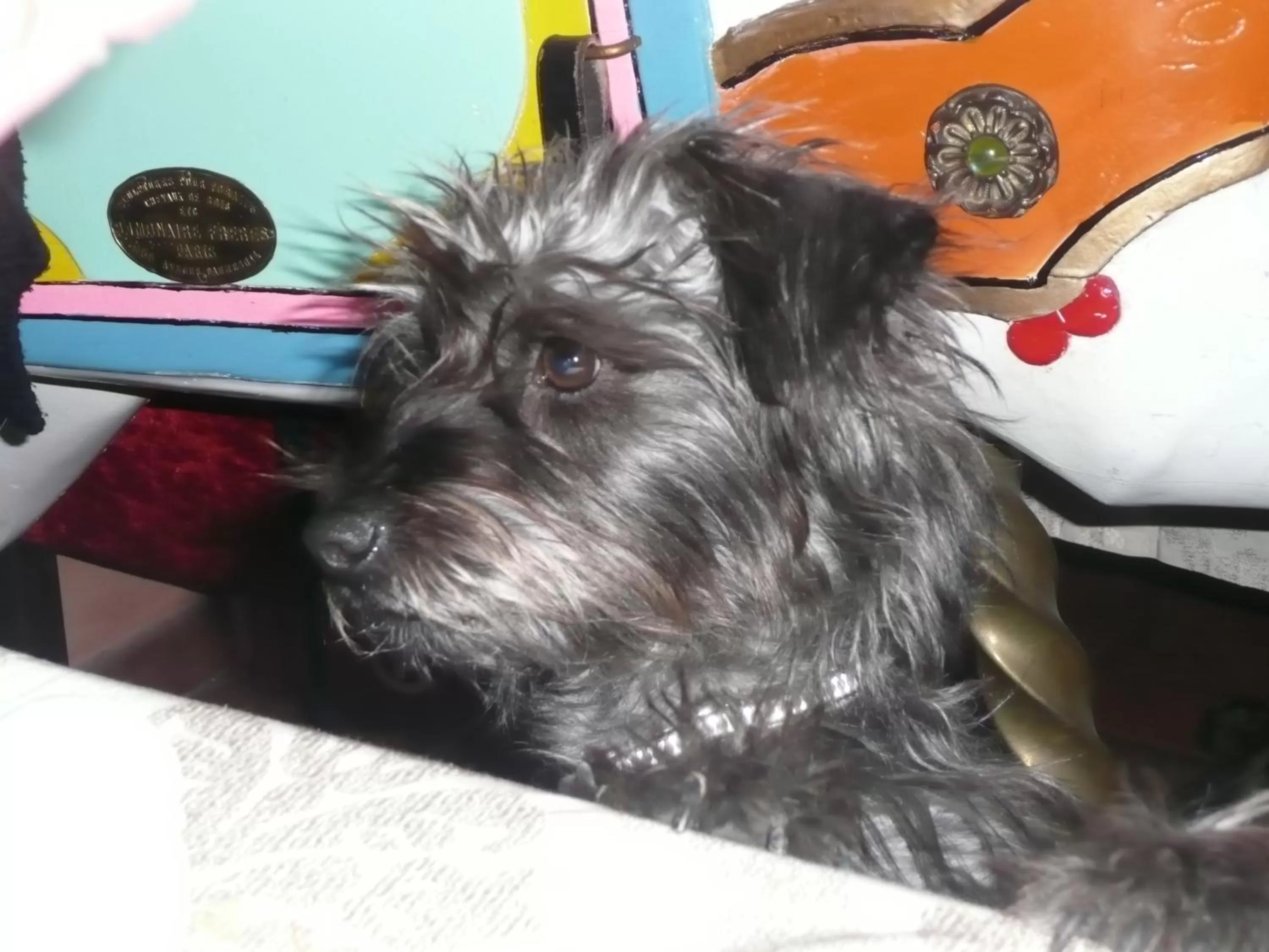 Staff in Hotel Victor Hugo Nice