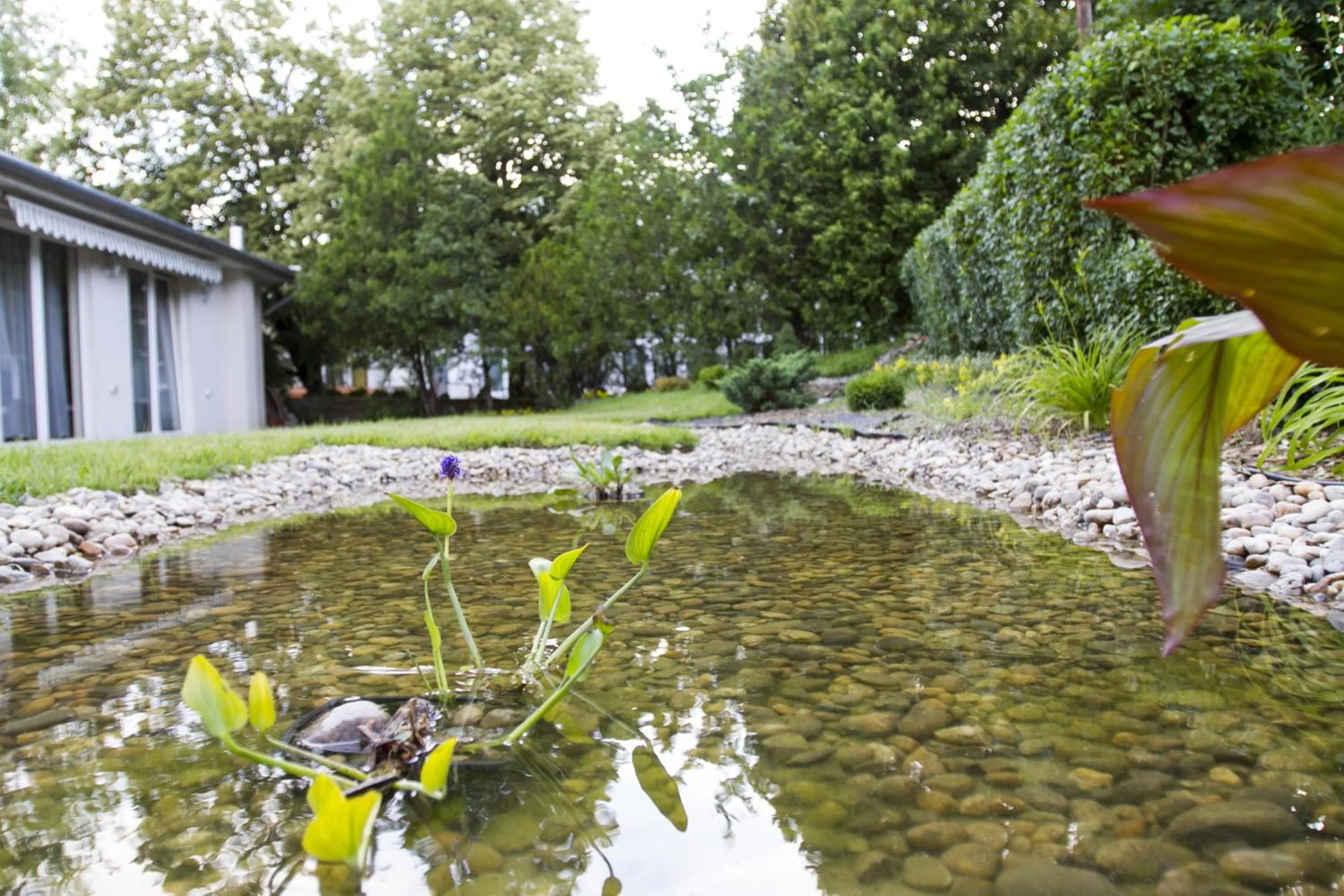 Balcony/Terrace in Classic Hotel