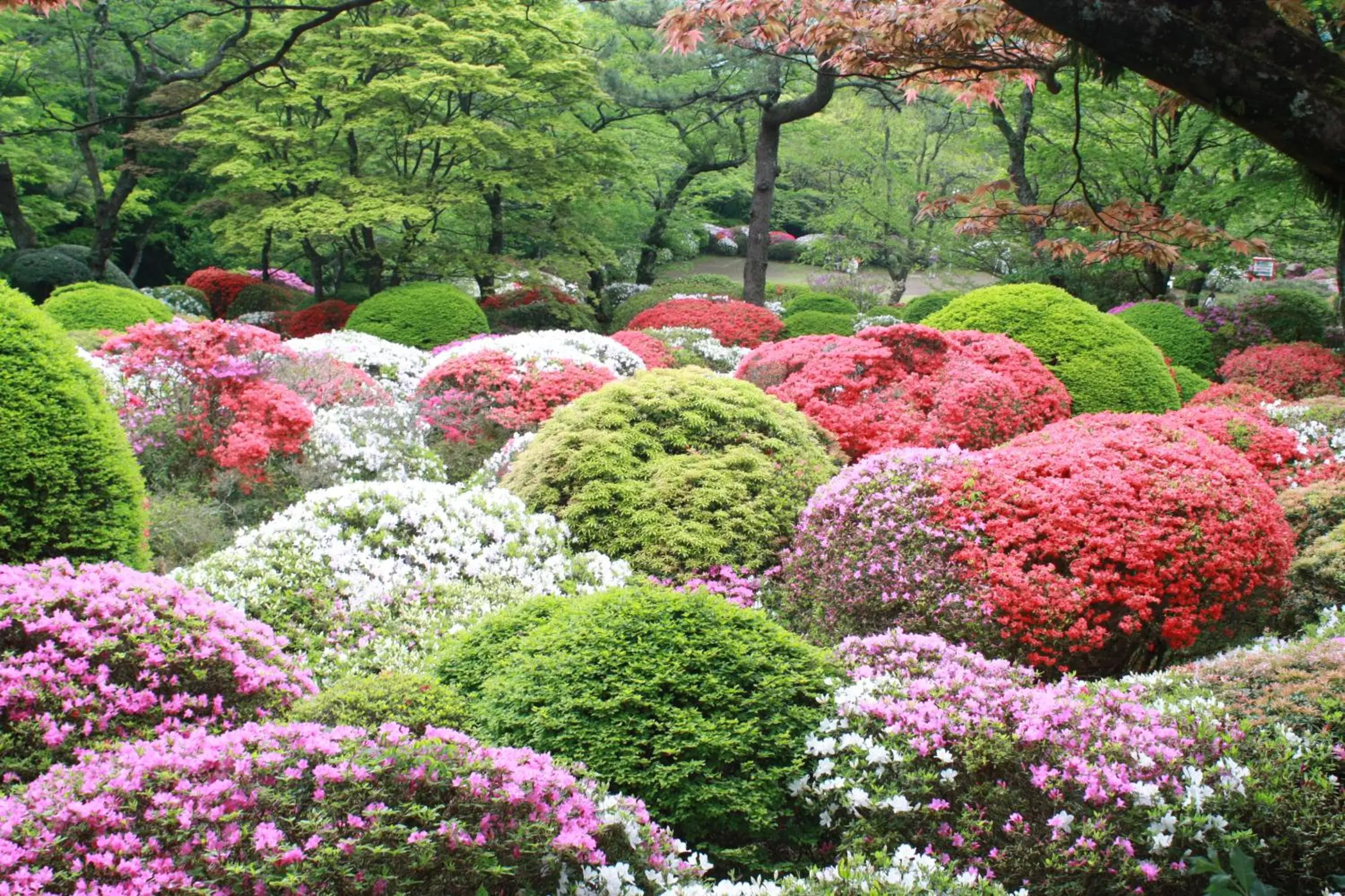 Garden in Hakone Kowakien Miyamafurin