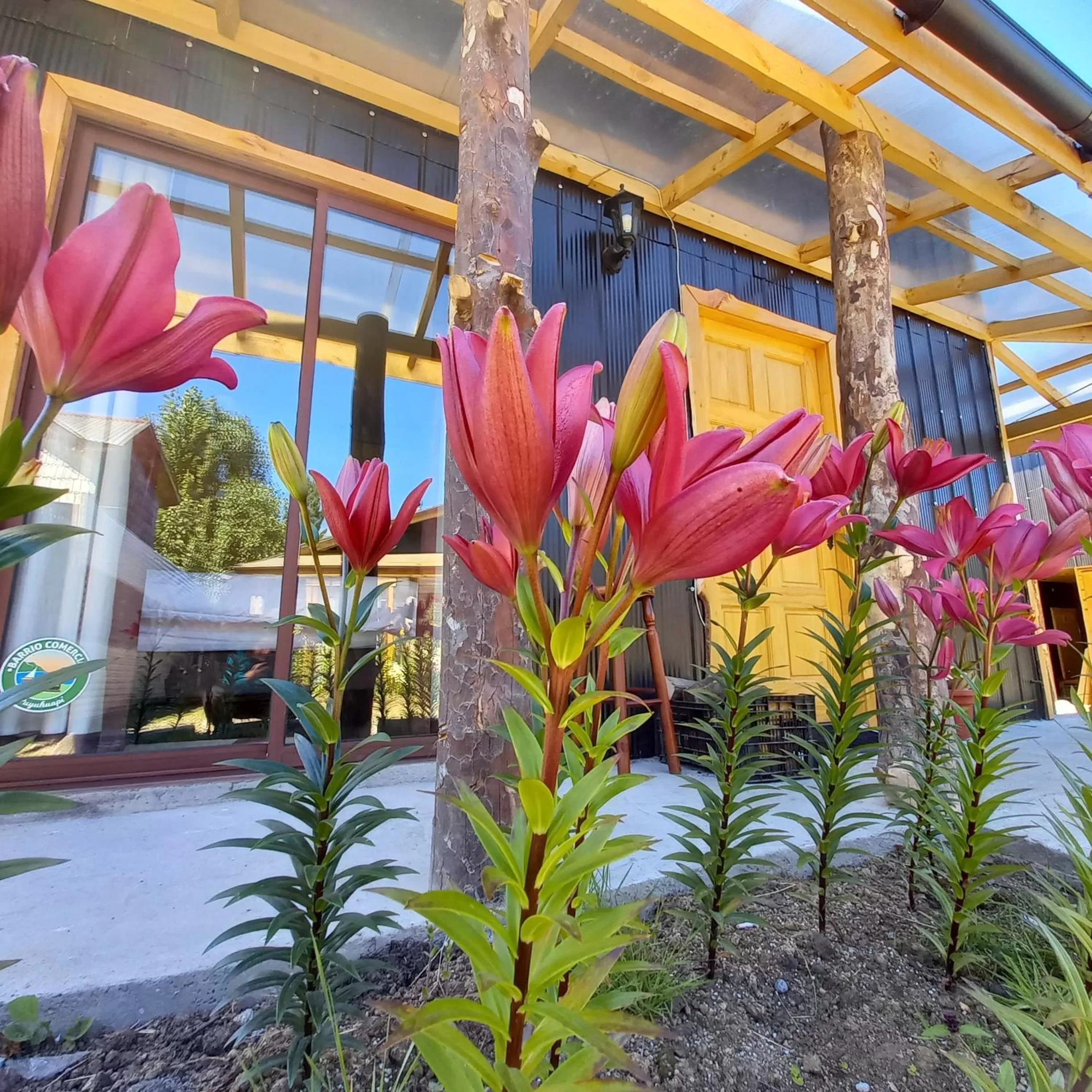 Cabanas Senderos Puyuhuapi