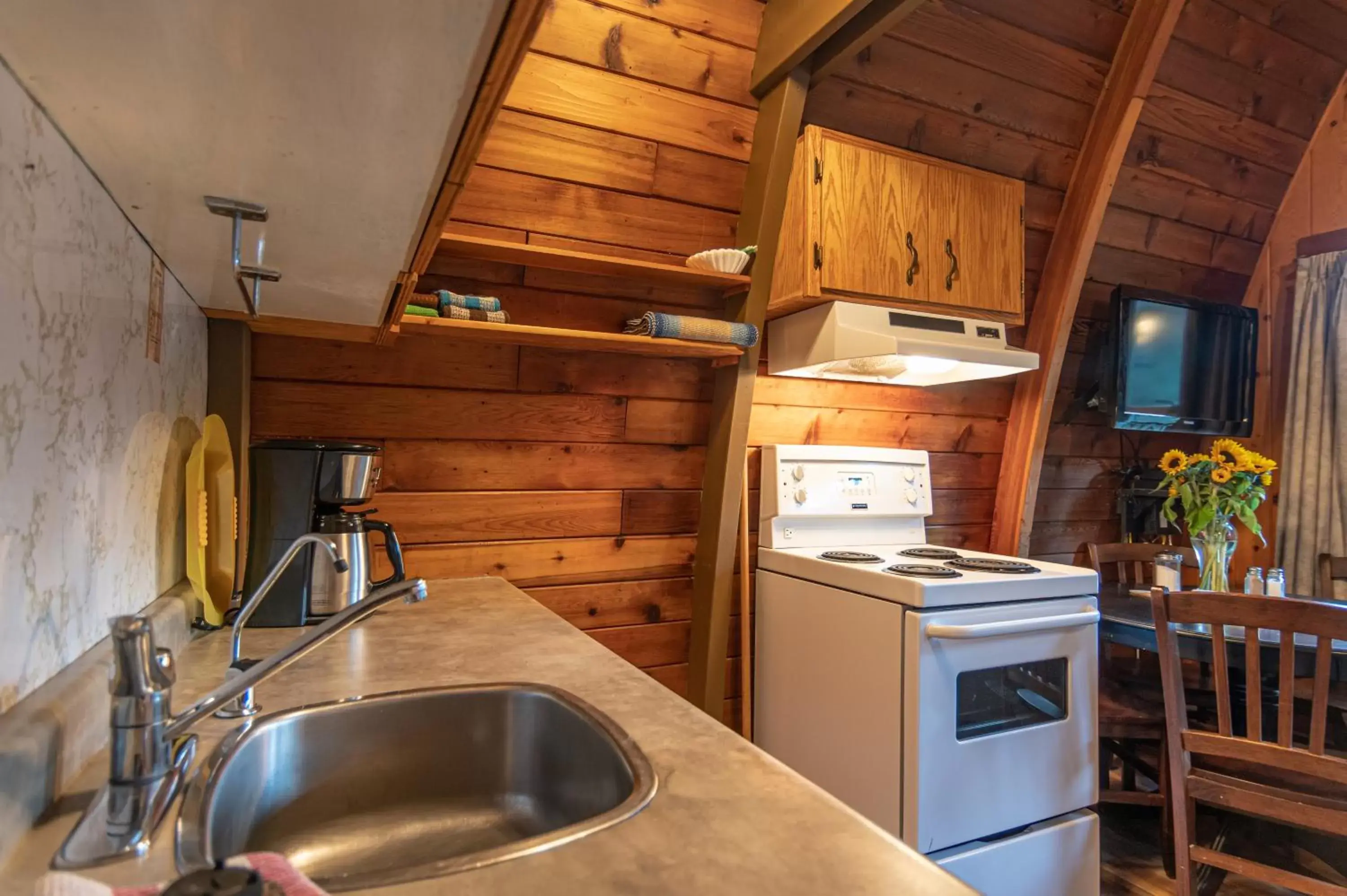 TV and multimedia, Kitchen/Kitchenette in Cusheon Lake Resort