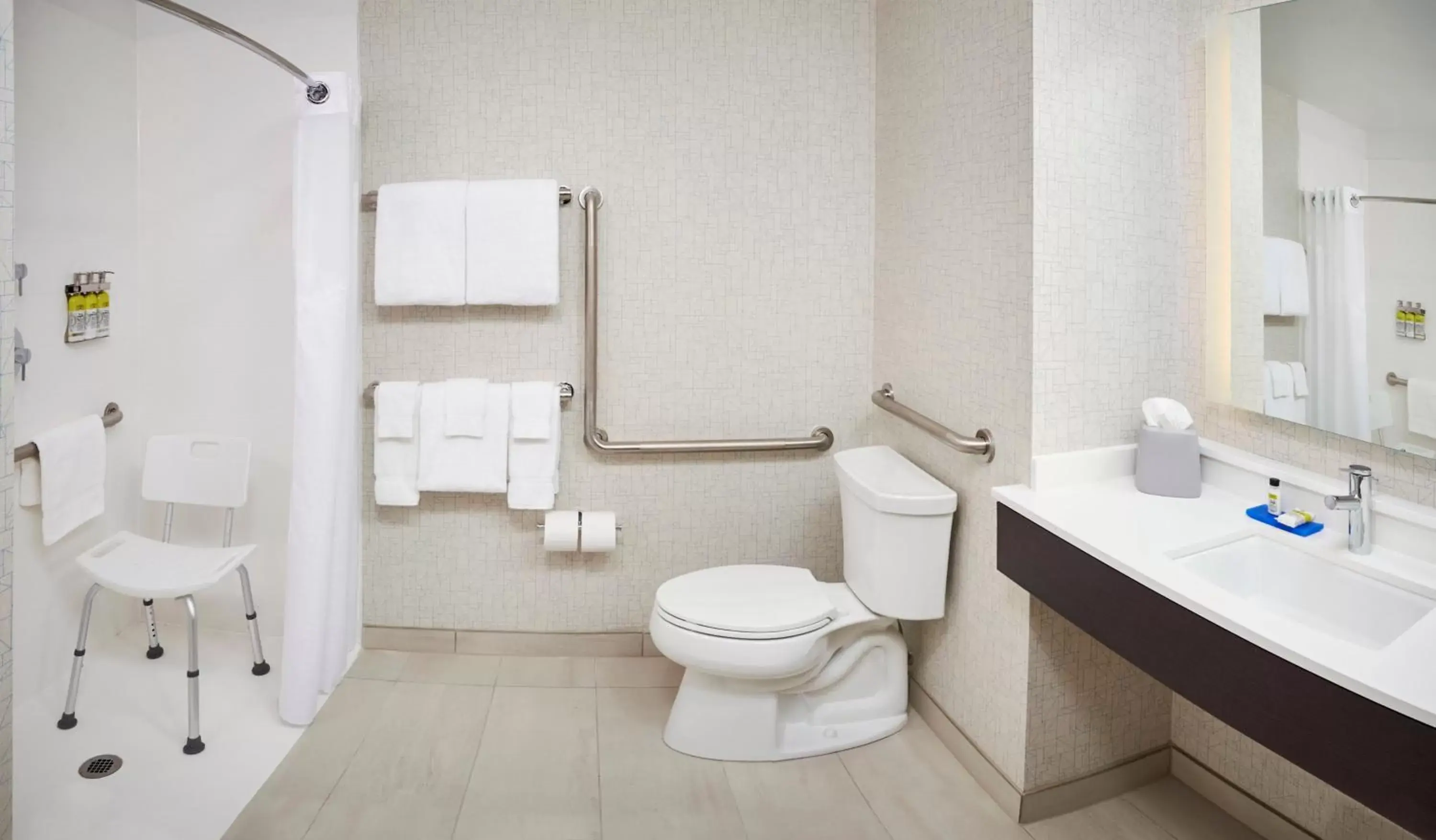 Bathroom in Holiday Inn Express & Suites Windsor East - Lakeshore, an IHG Hotel