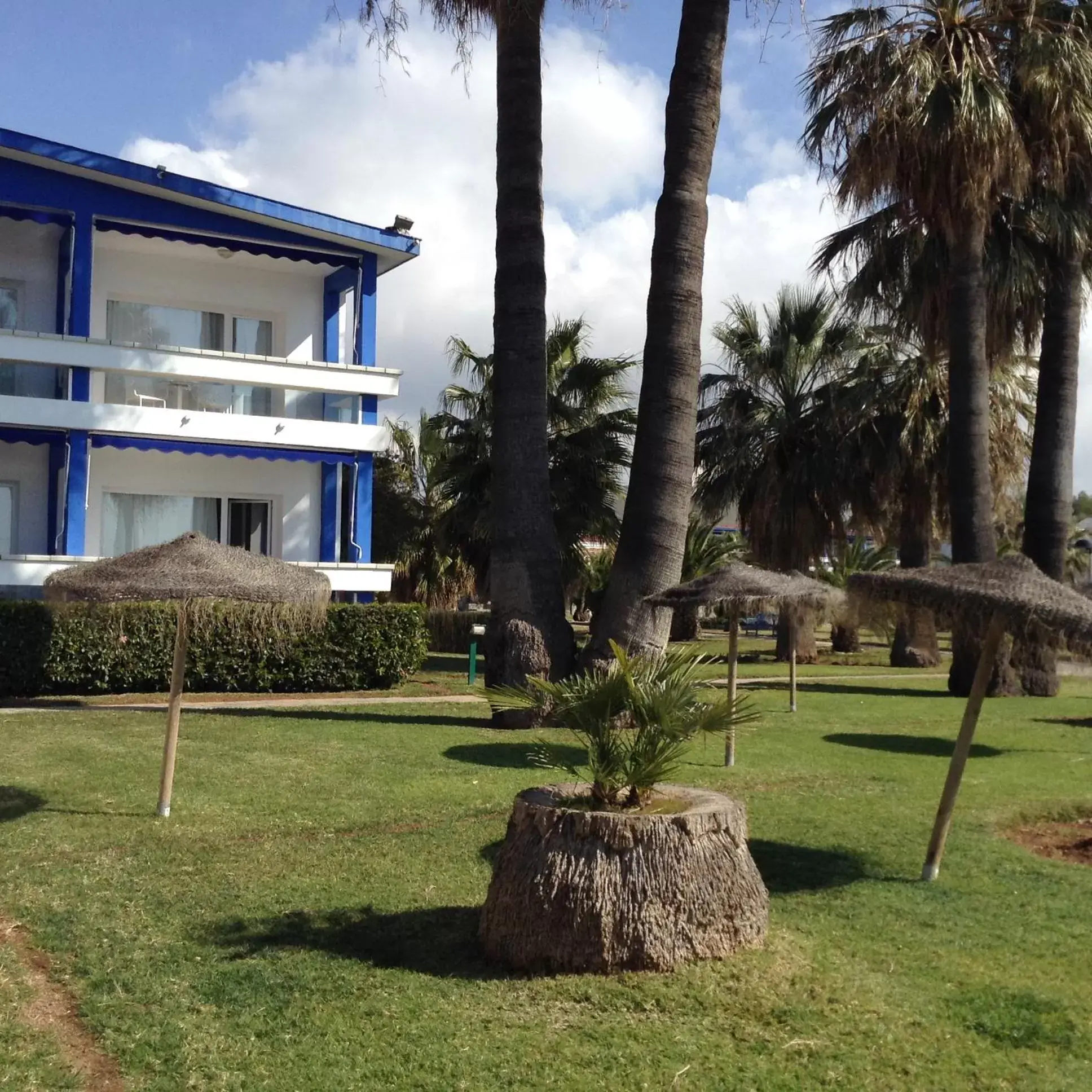 Garden, Property Building in Parador de Benicarló