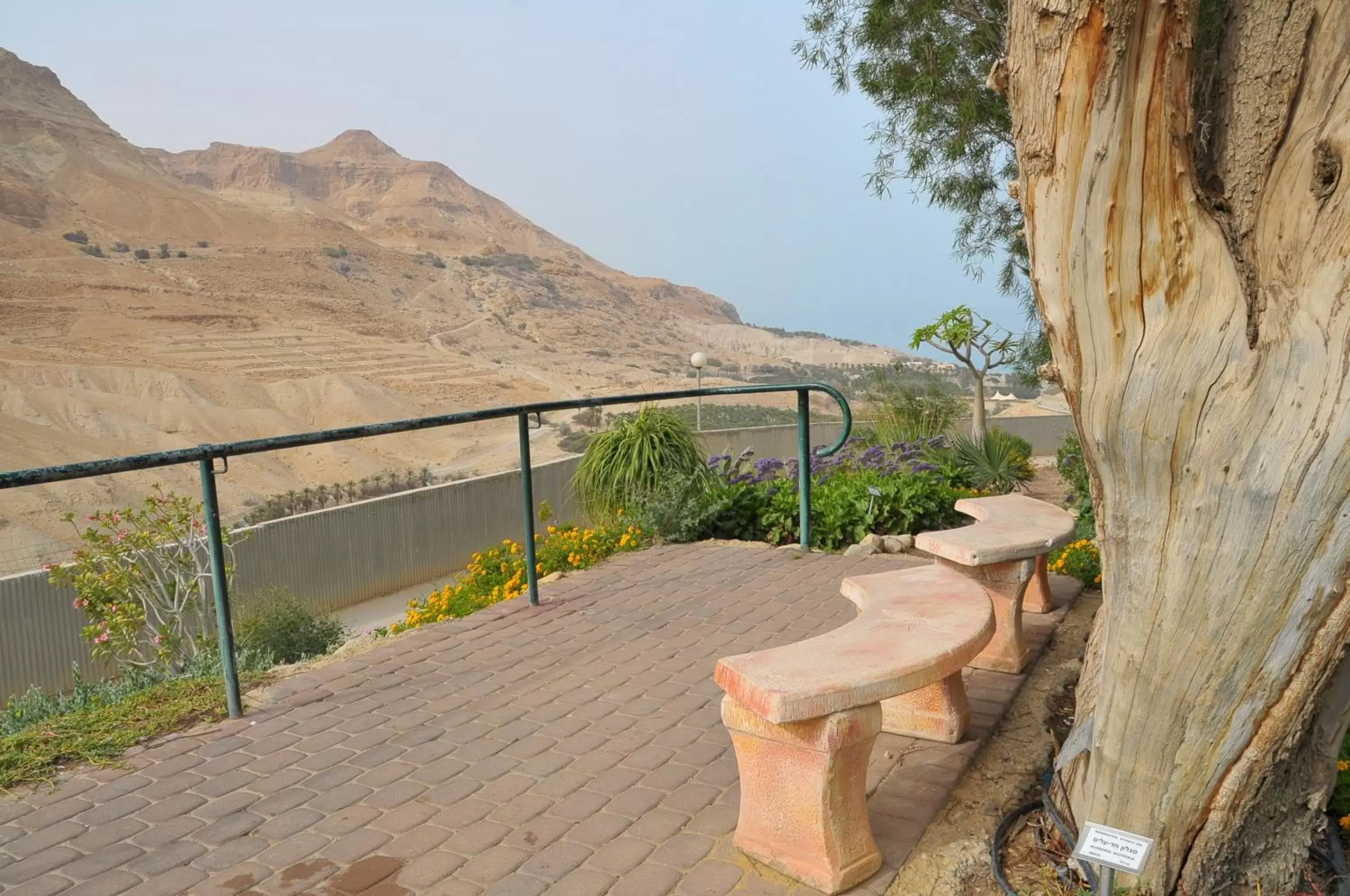 Landmark view in Ein Gedi Kibbutz Hotel