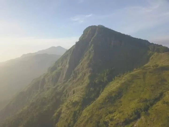 Ella Lucky Panoramic