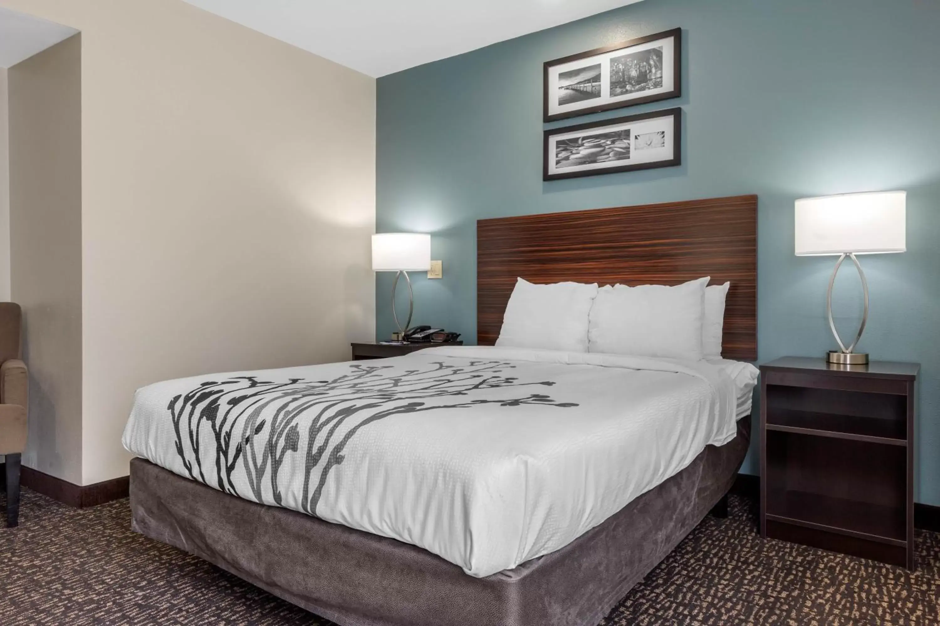 Facility for disabled guests, Bed in Sleep Inn & Suites Johnson City