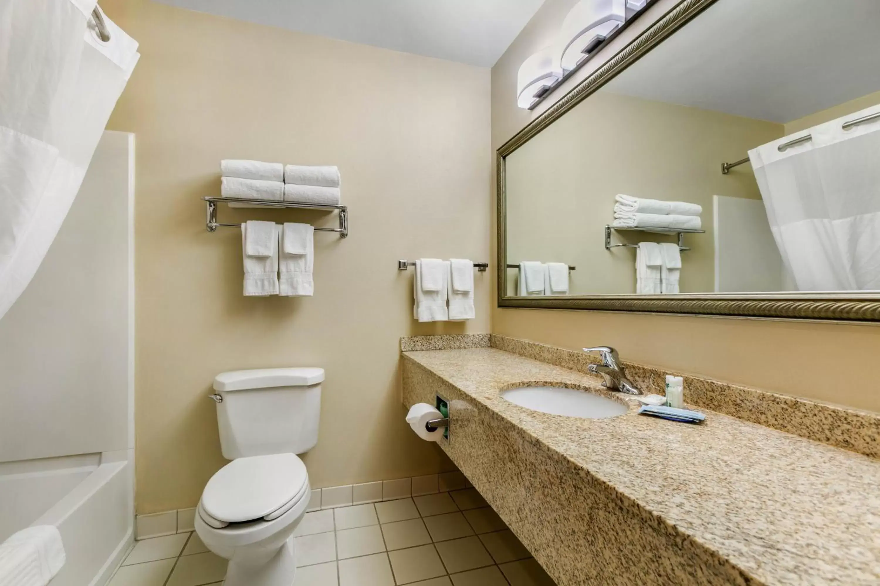 Bathroom in Quality Inn near Monument Health Rapid City Hospital