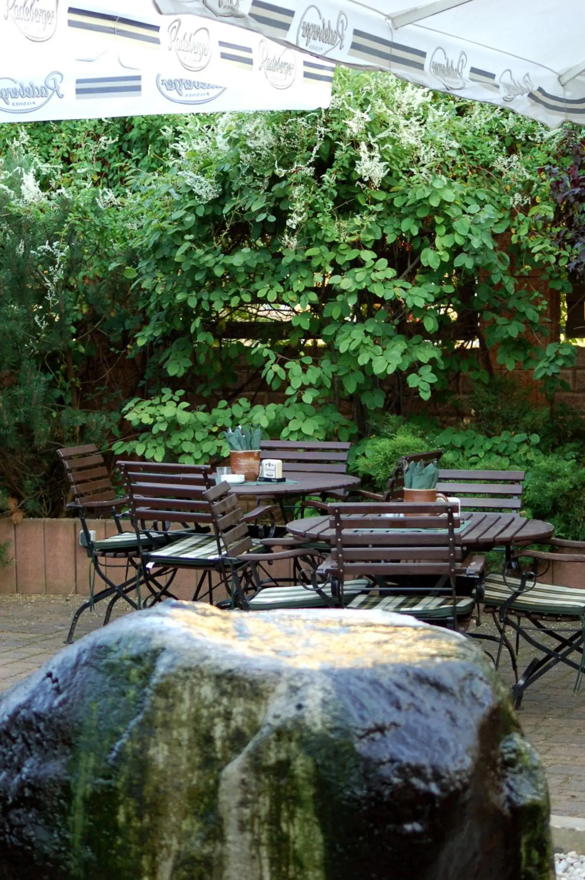 Garden in Hotel Kaiserhof