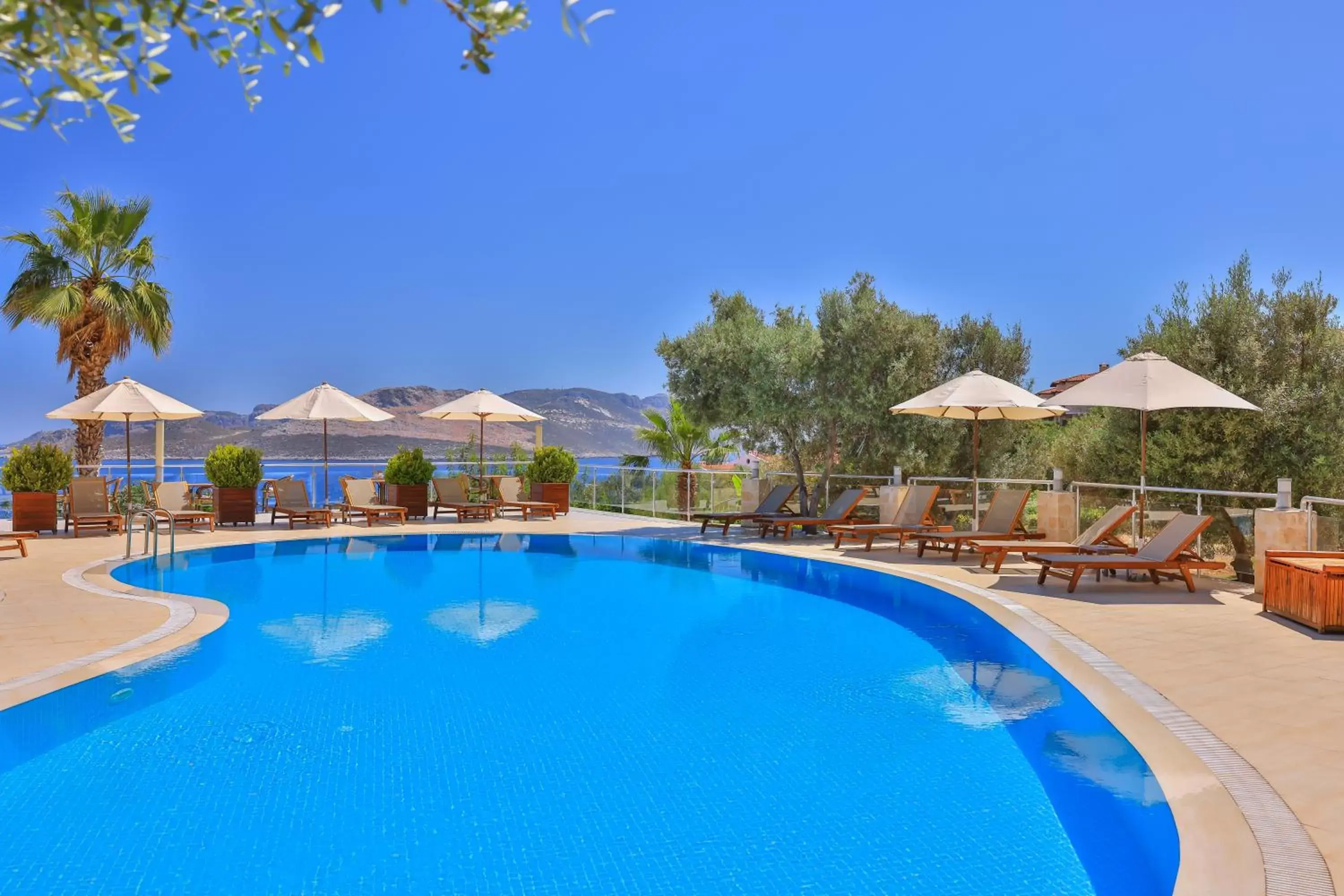 Pool view, Swimming Pool in Olea Nova Hotel