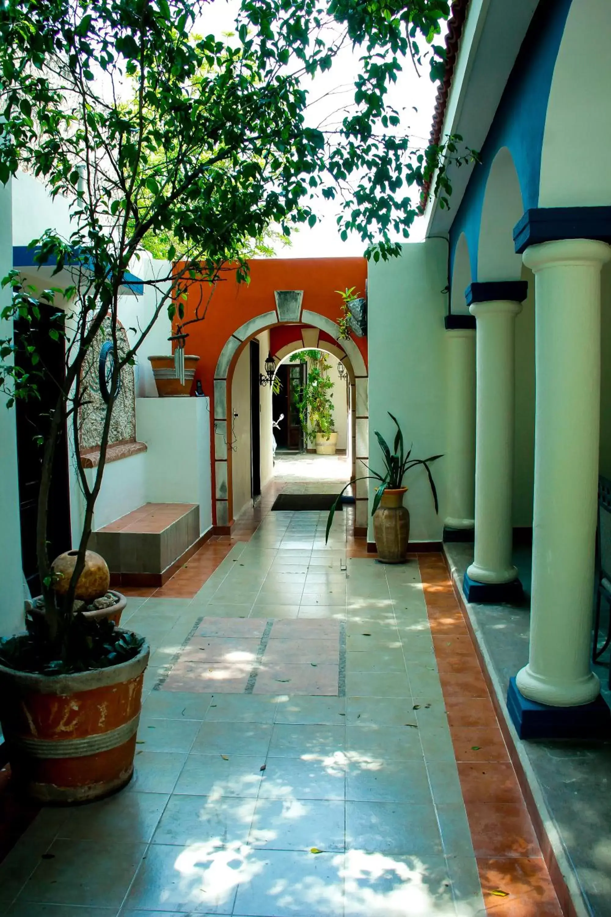 Garden view, Patio/Outdoor Area in Hotel Zamna Boutique