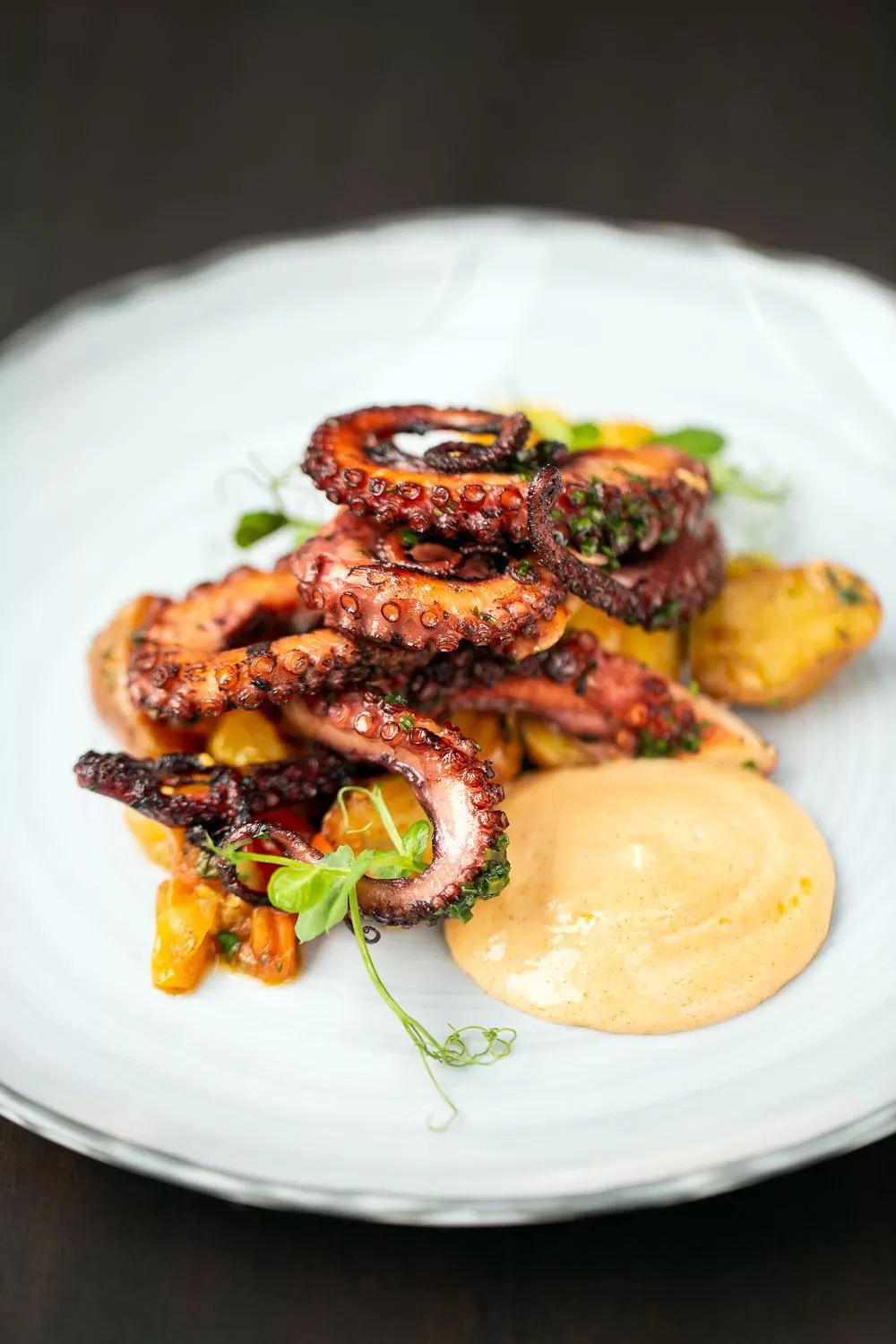 Food close-up in The Fairmont Washington DC