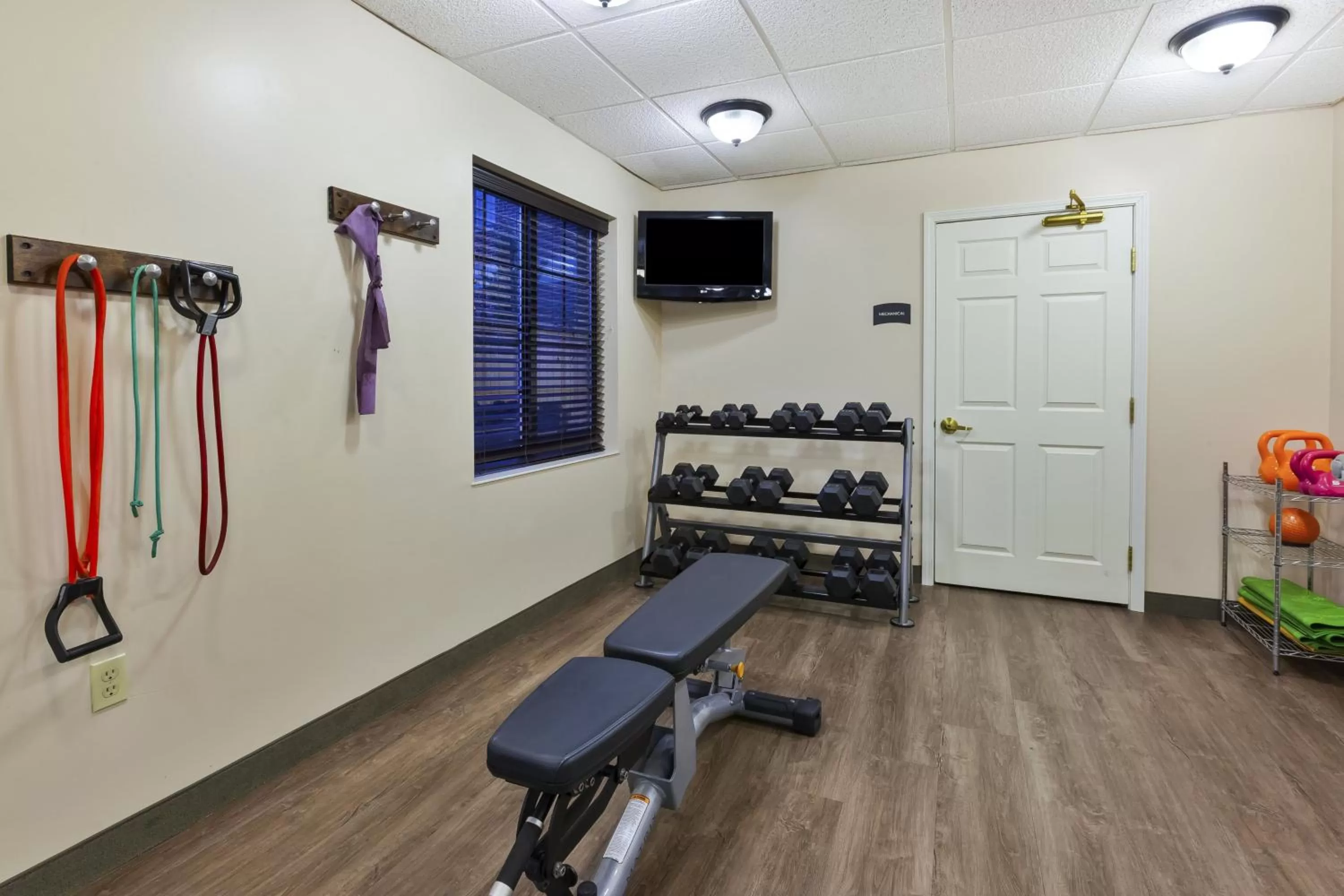 Fitness centre/facilities in Staybridge Suites Lansing-Okemos by IHG
