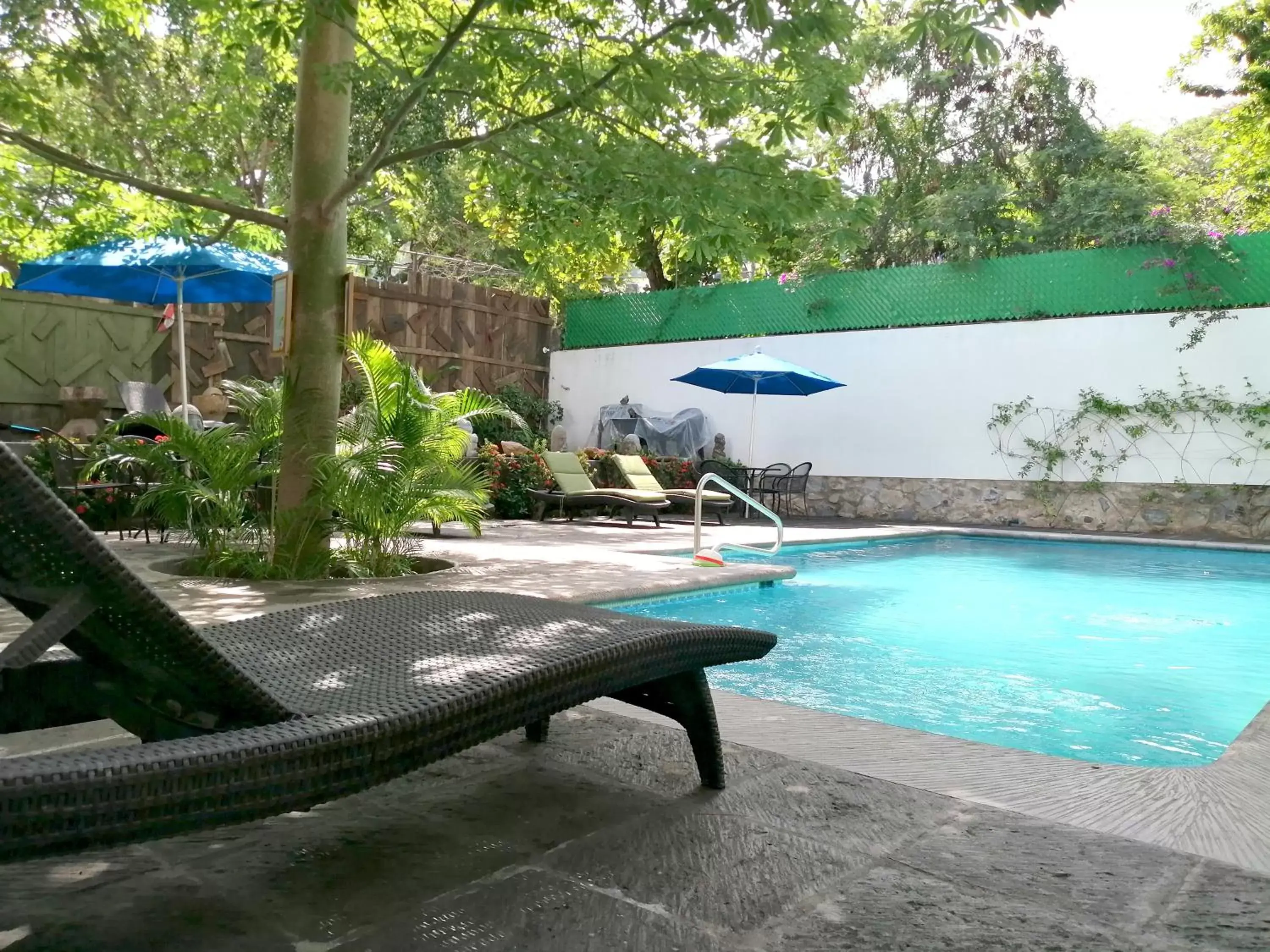 Swimming Pool in Ceiba Studios