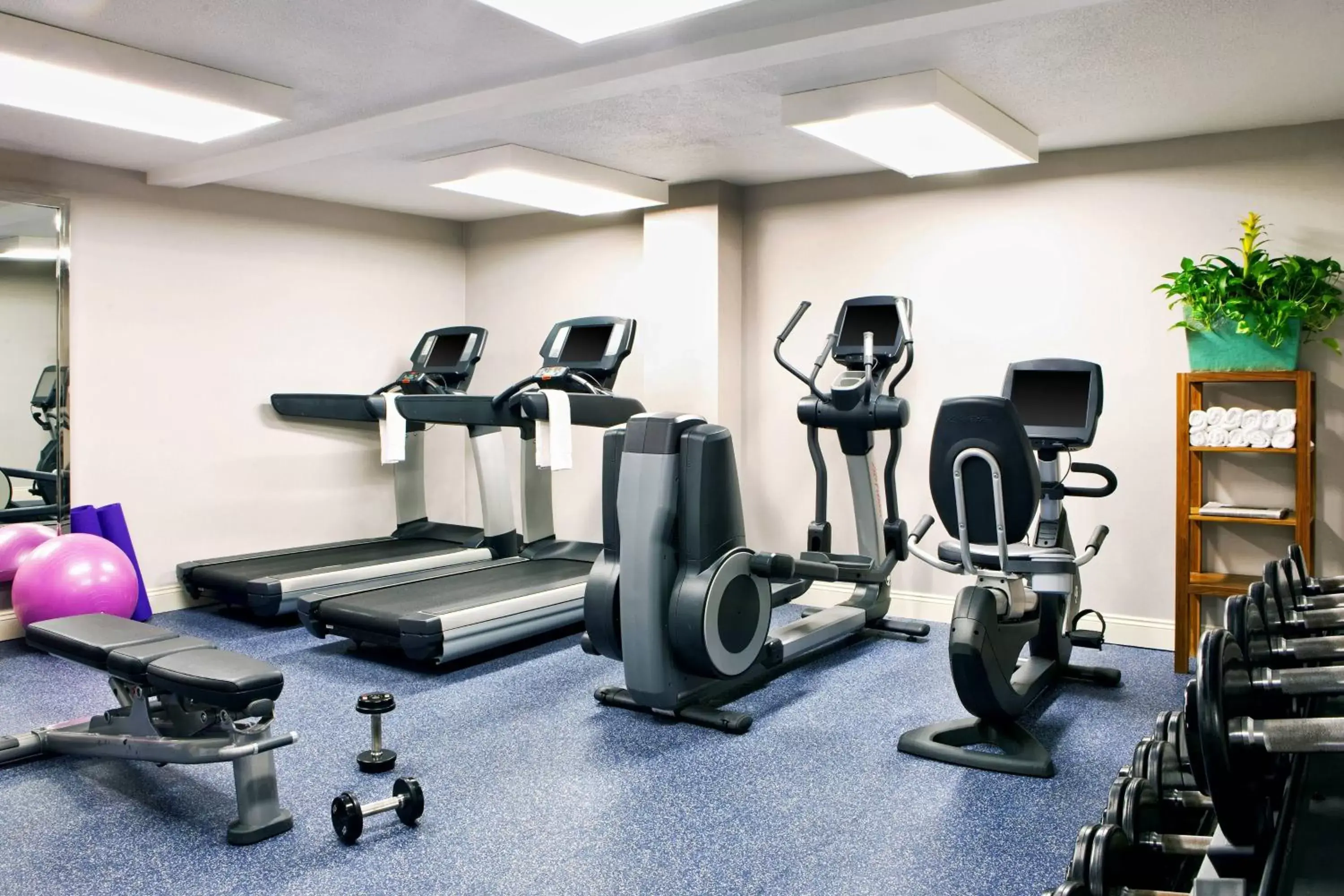 Fitness centre/facilities, Fitness Center/Facilities in Four Points by Sheraton French Quarter