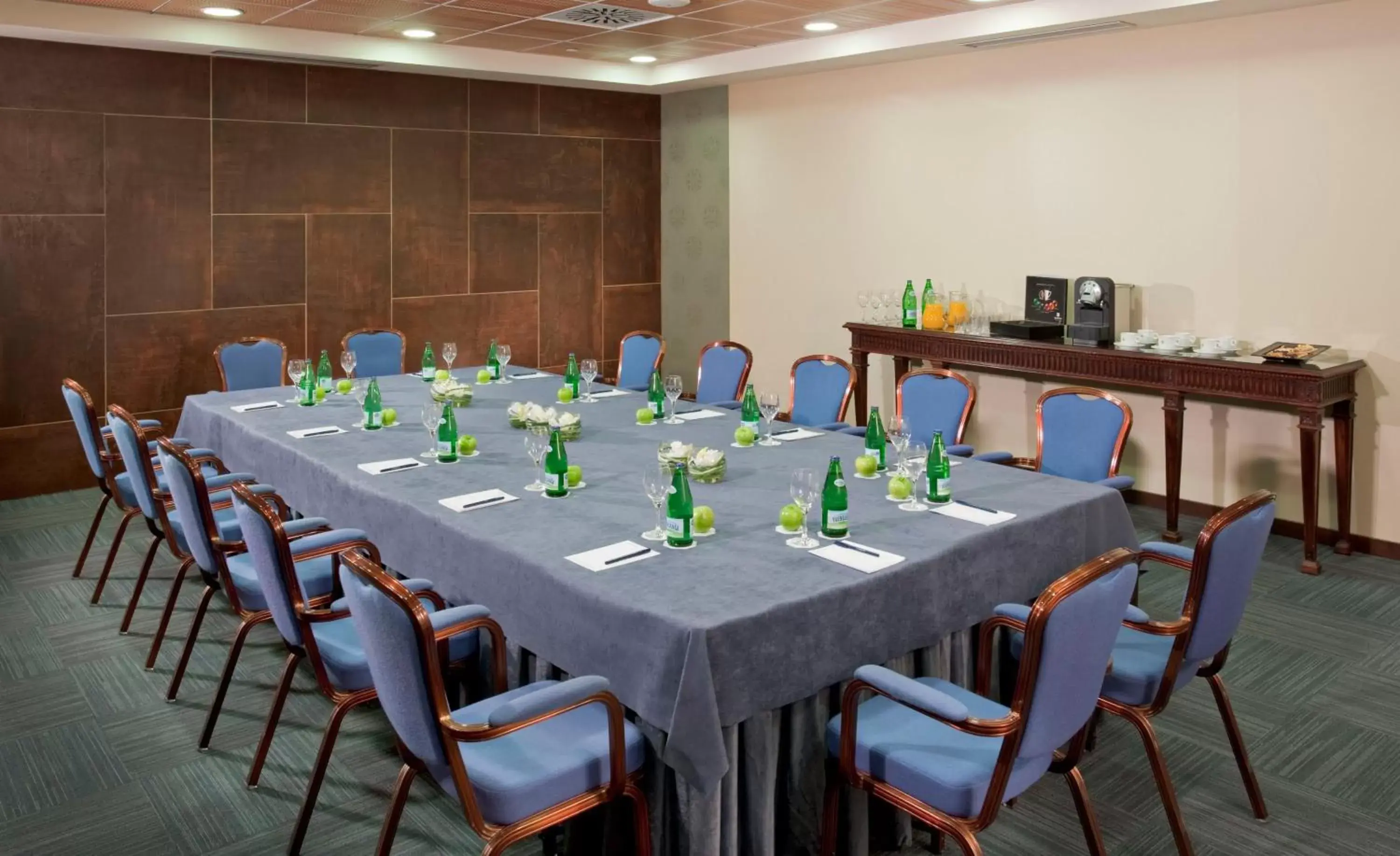 Meeting/conference room in Melia Castilla