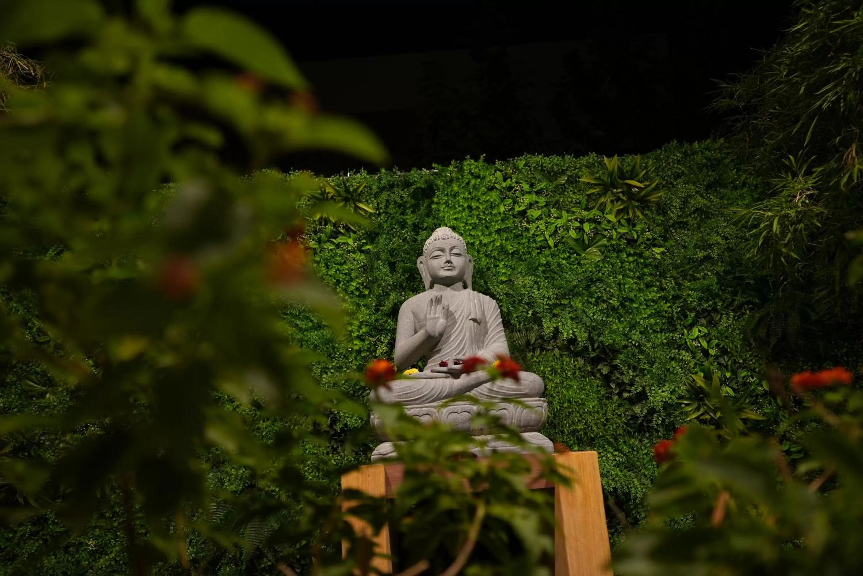 Night in Eden Park Boutique Hotel