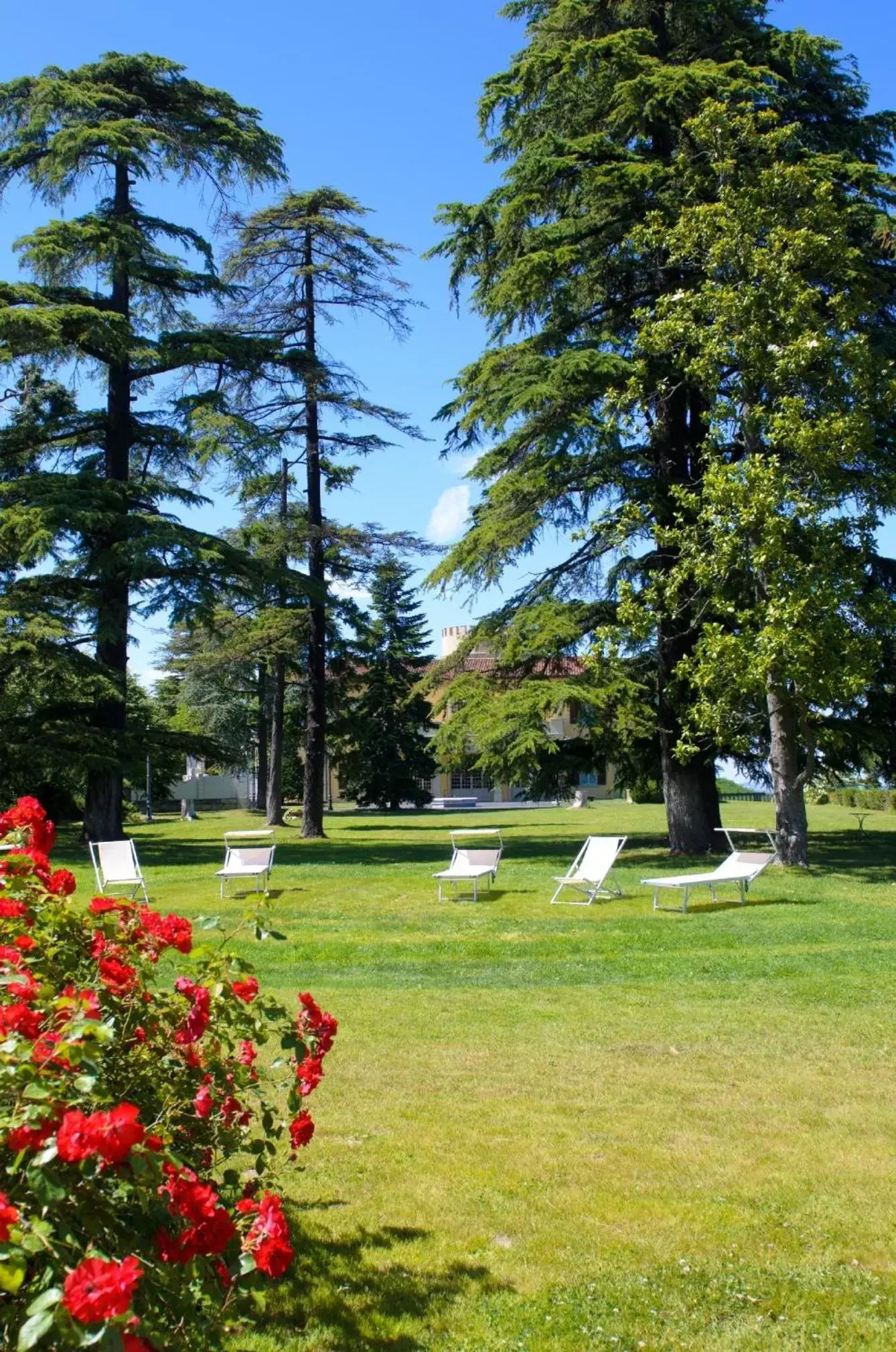 Garden in Hotel Villa La Bollina