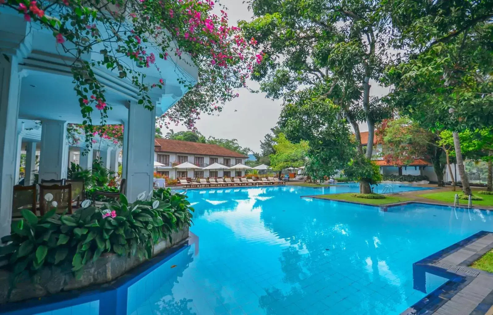 Pool view, Swimming Pool in Mahaweli Reach Hotel