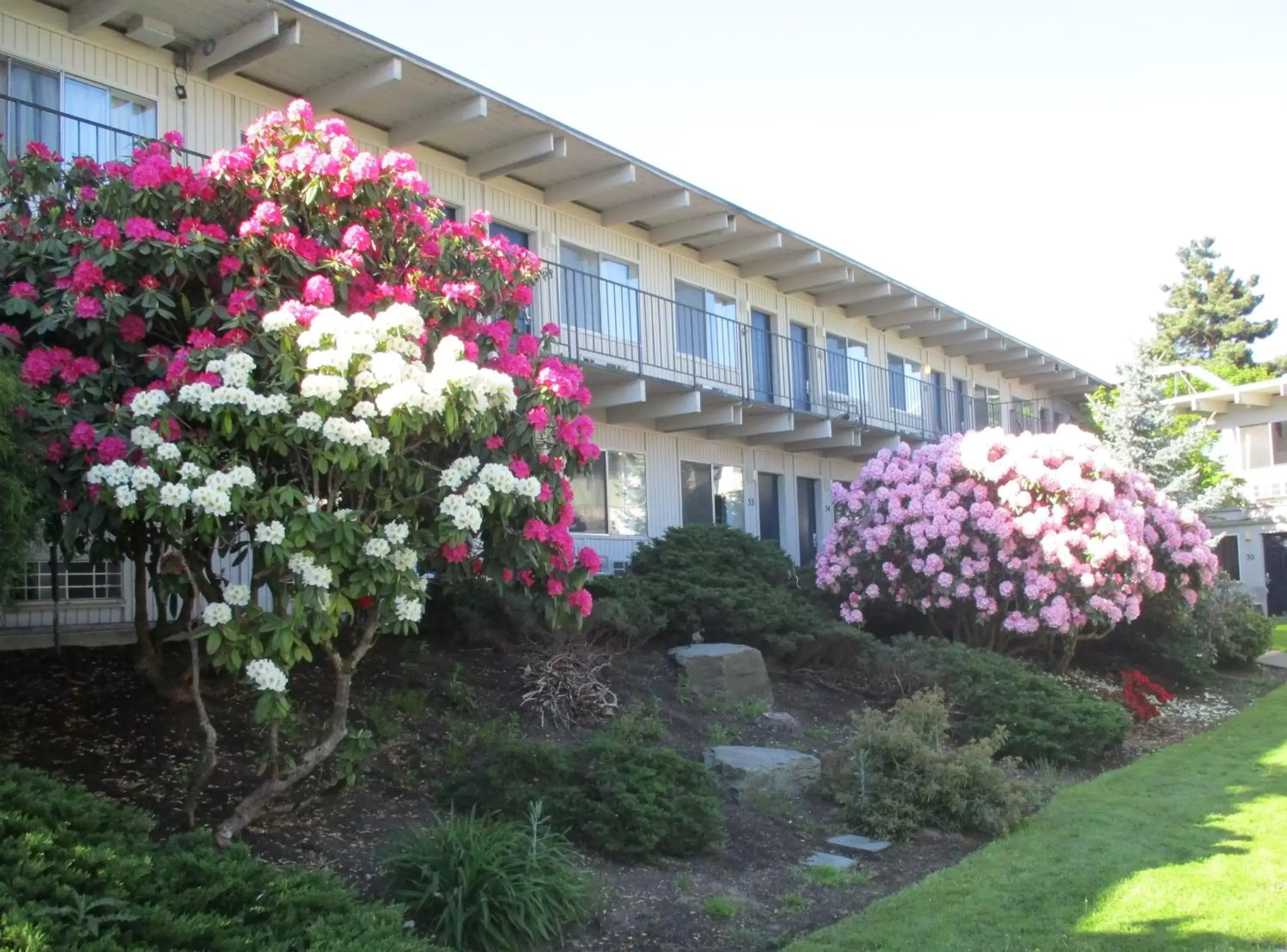 Spring, Property Building in Cocusa Motel