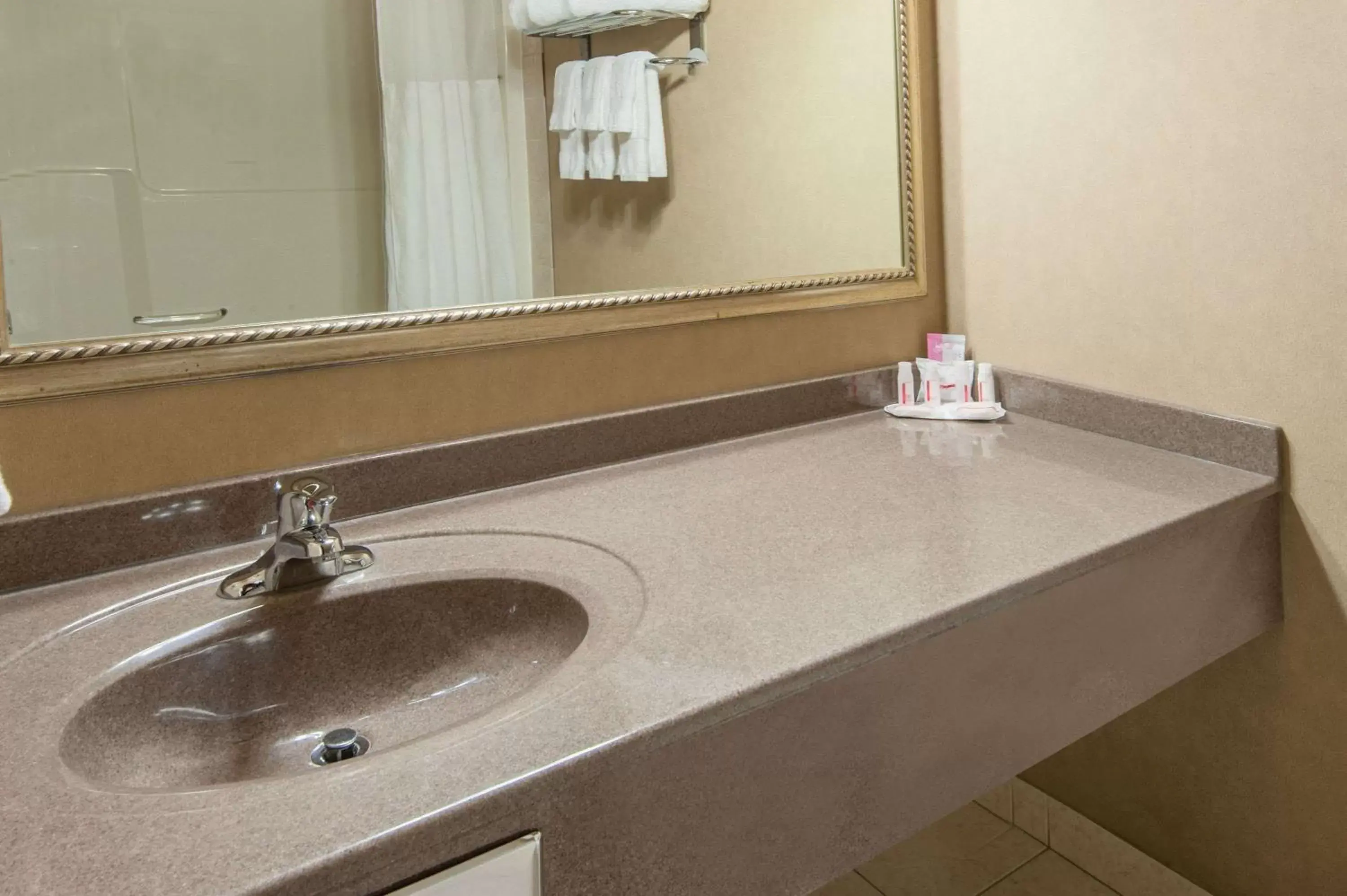 Bathroom in Ramada by Wyndham Drumheller Hotel & Suites