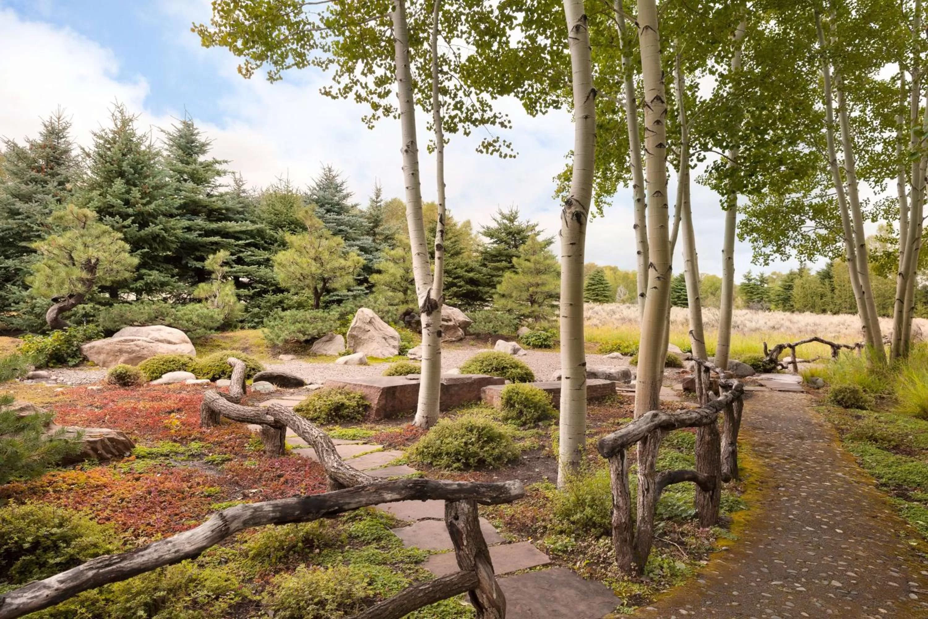 Day in Aspen Meadows Resort