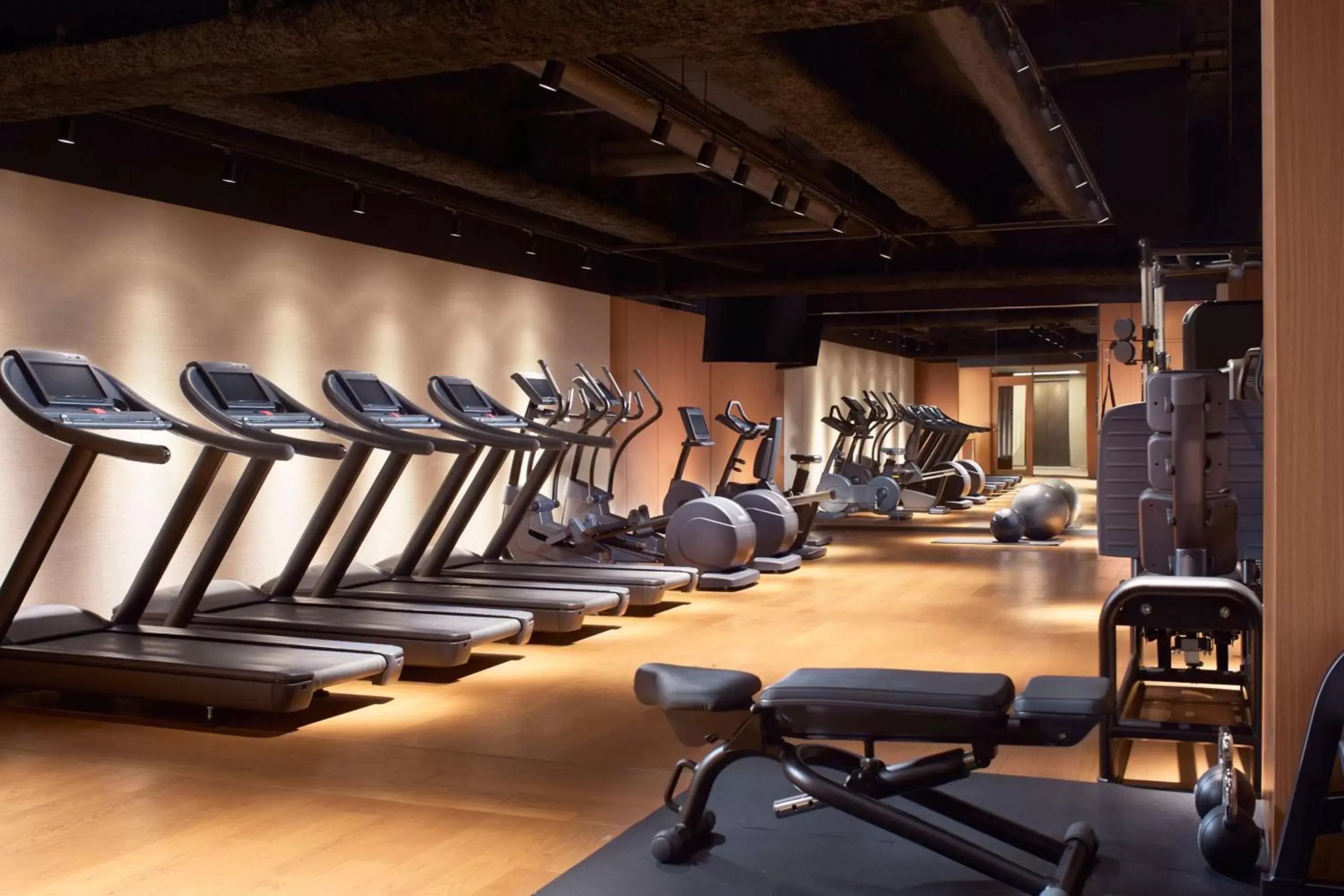 Fitness centre/facilities, Fitness Center/Facilities in JW Marriott Hotel Nara