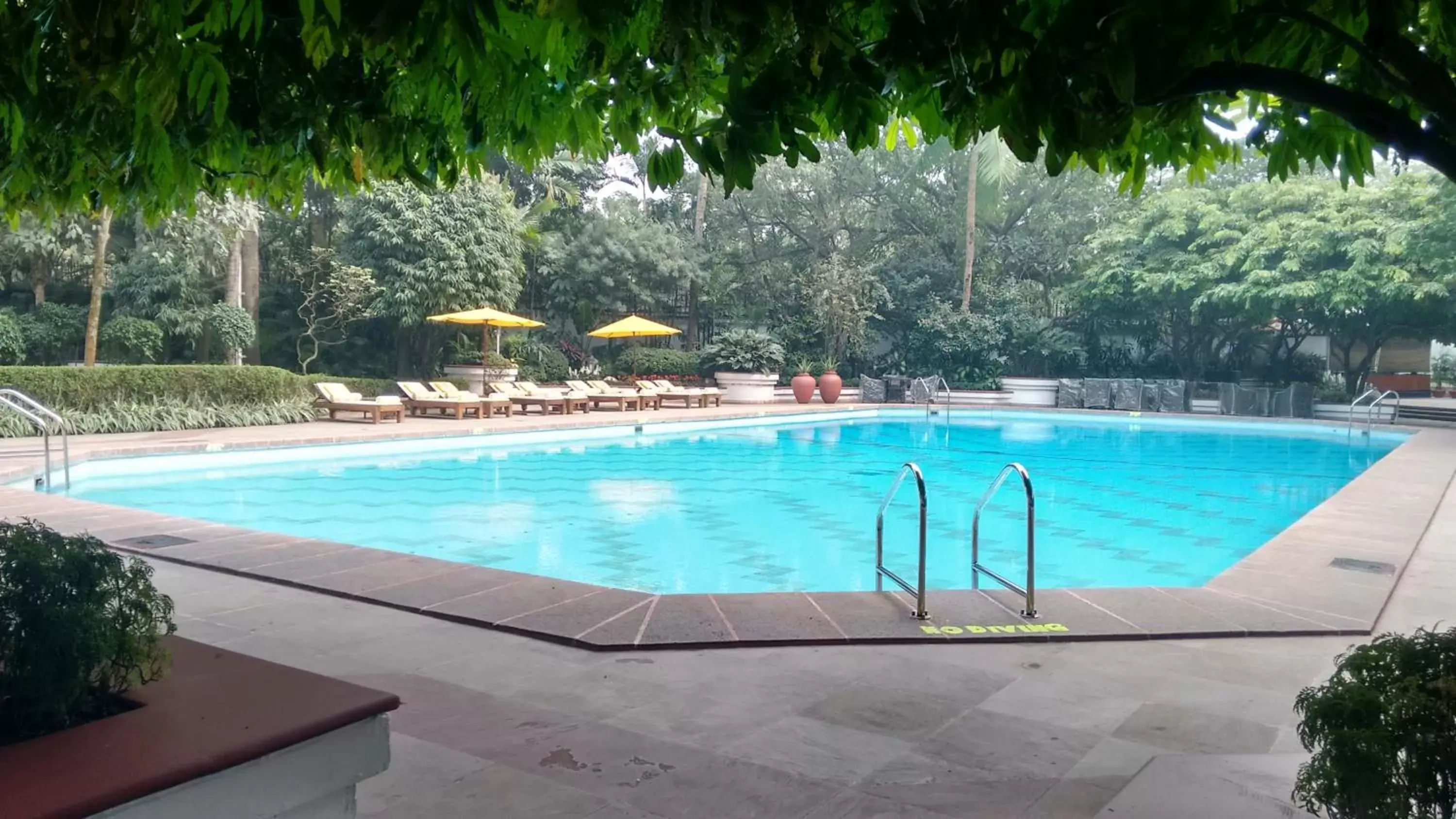 Swimming Pool in Taj Bengal