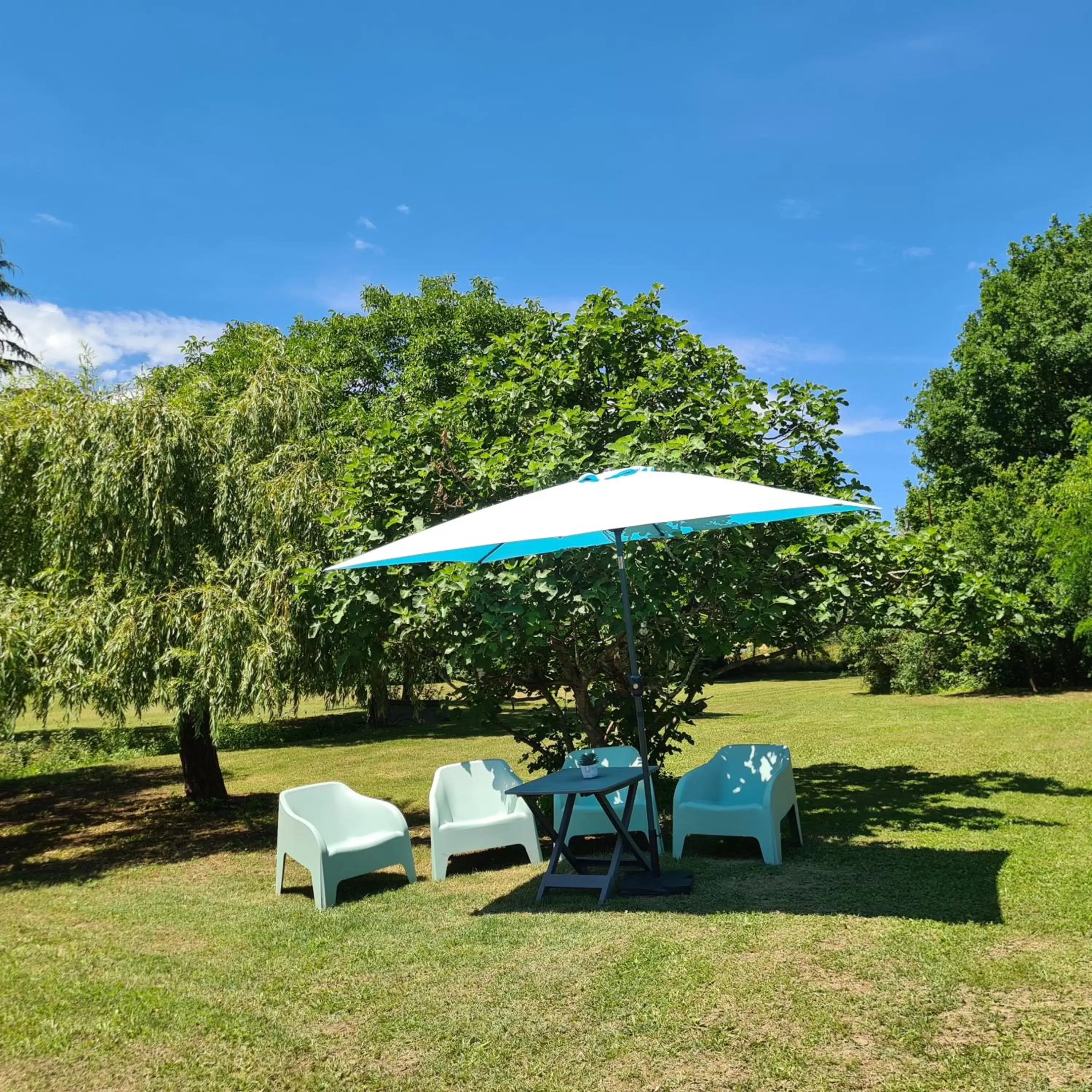 Natural landscape, Garden in Le Coq en Repos