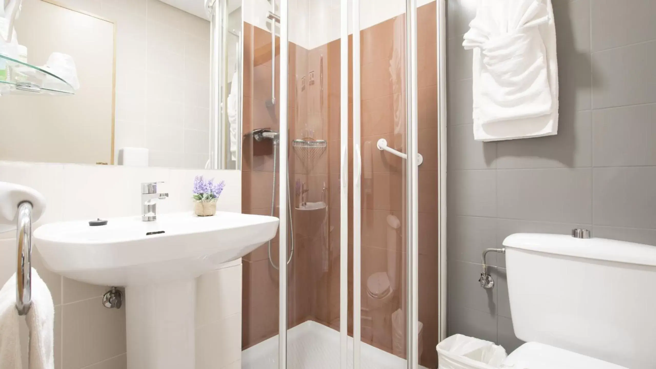 Shower, Bathroom in Hotel Isabel de Segura