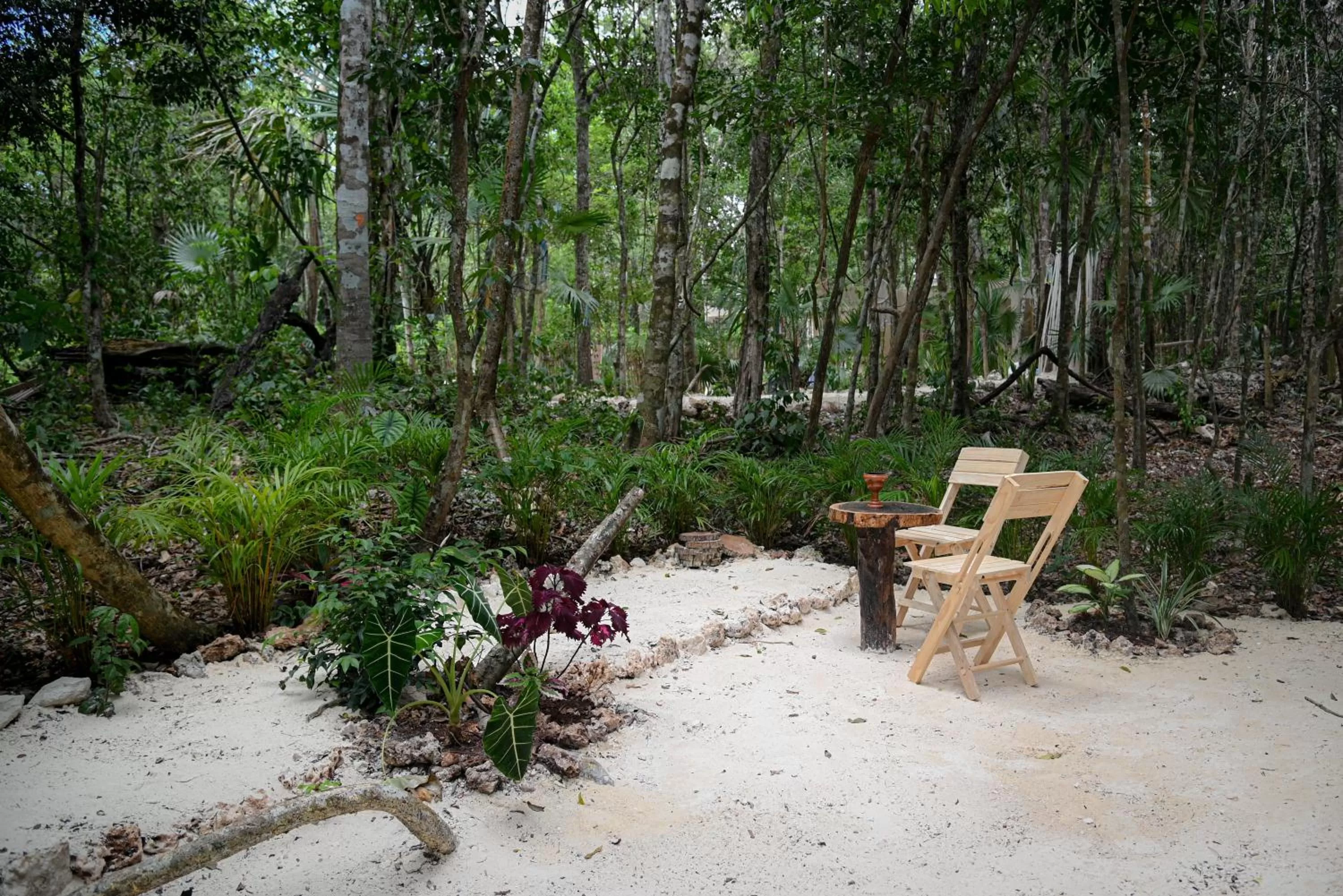 Garden in Lunita Jungle Experience