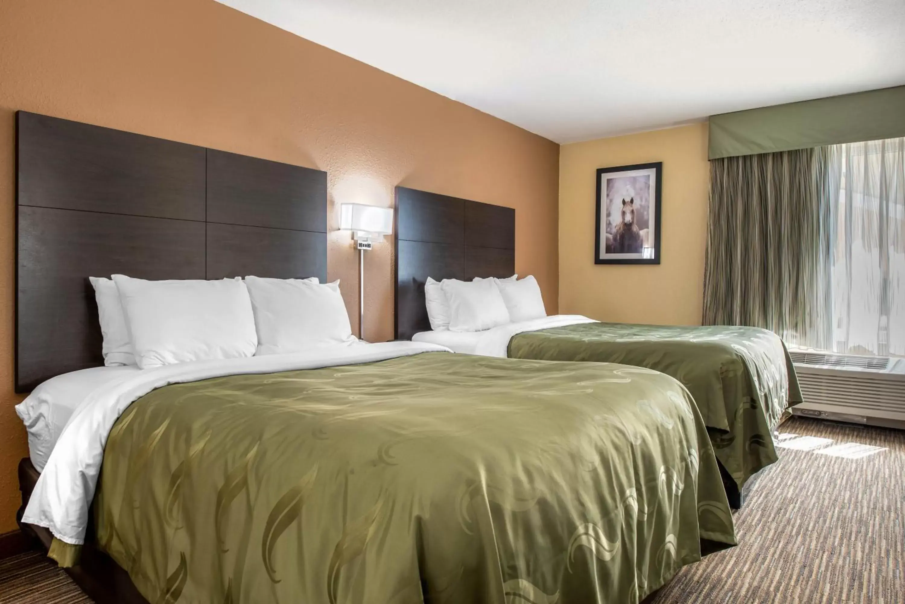 Large Queen Suite with Two Queen Beds - Non-Smoking in Quality Inn & Suites