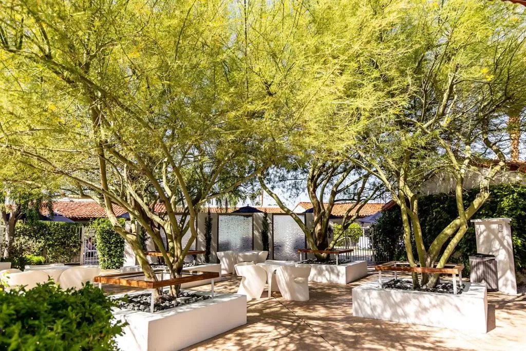 Day in Alcazar Palm Springs