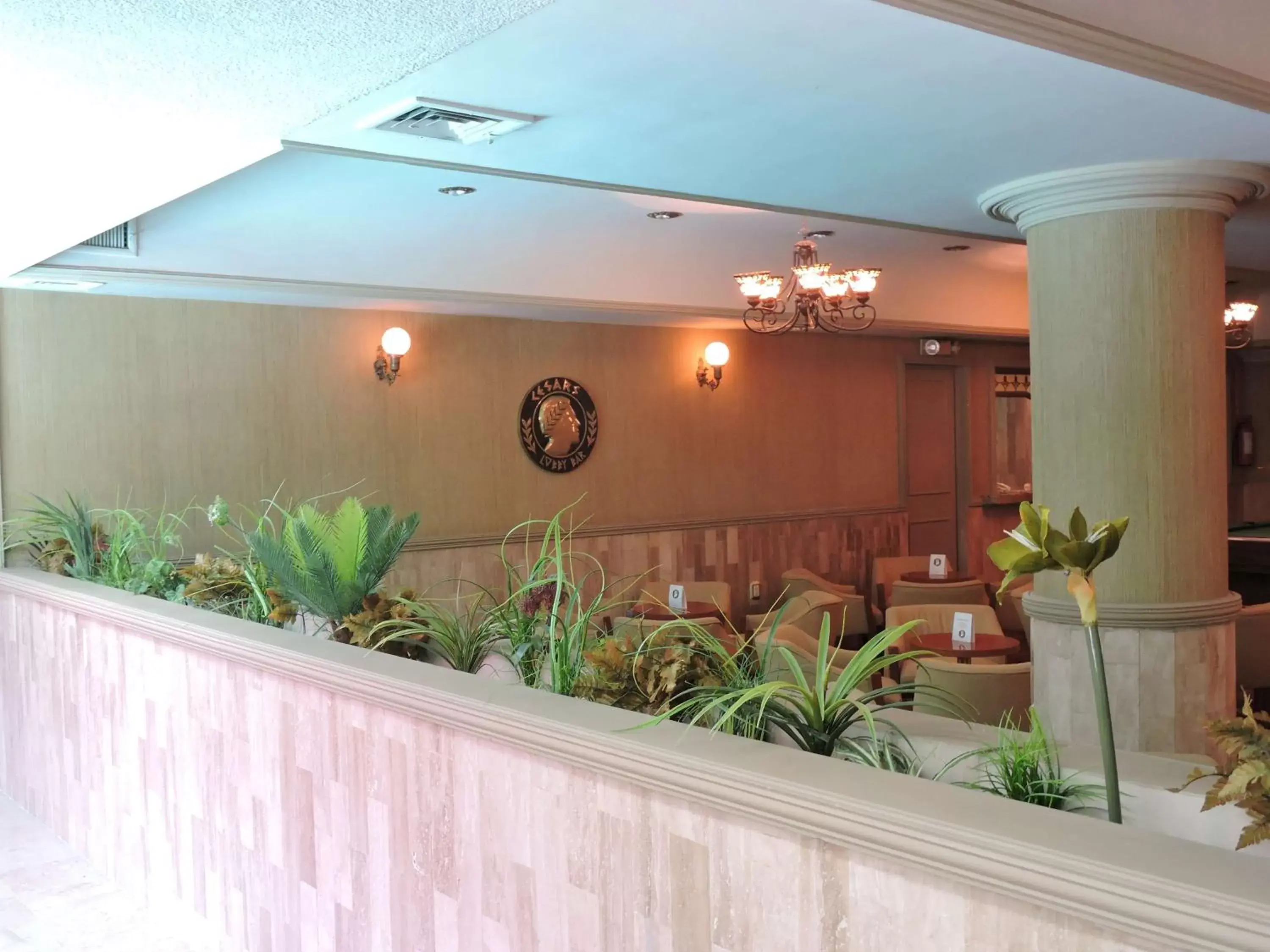 Lounge or bar, Lobby/Reception in Best Western Posada Del Rio