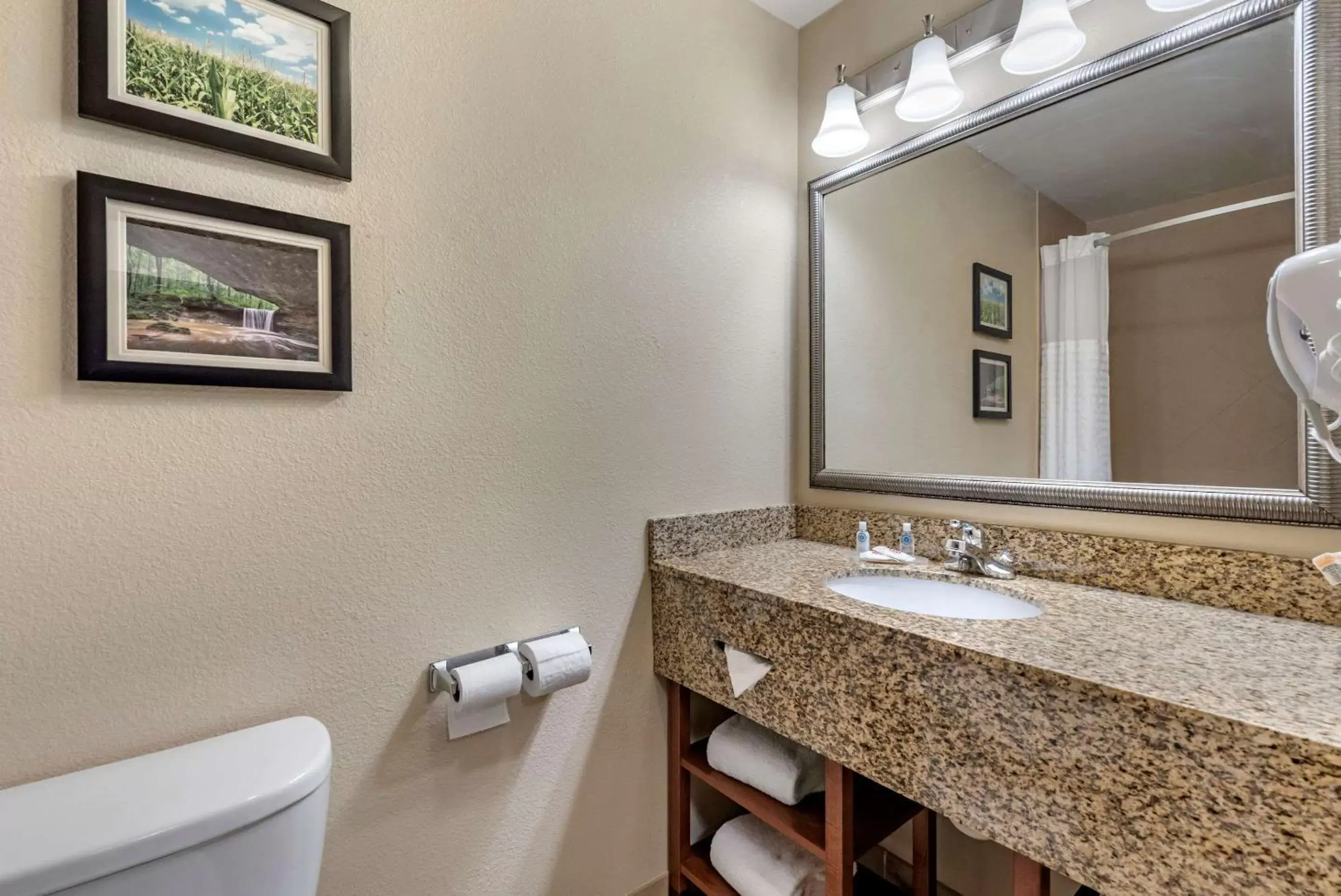 Bathroom in Comfort Inn & Suites Muncie