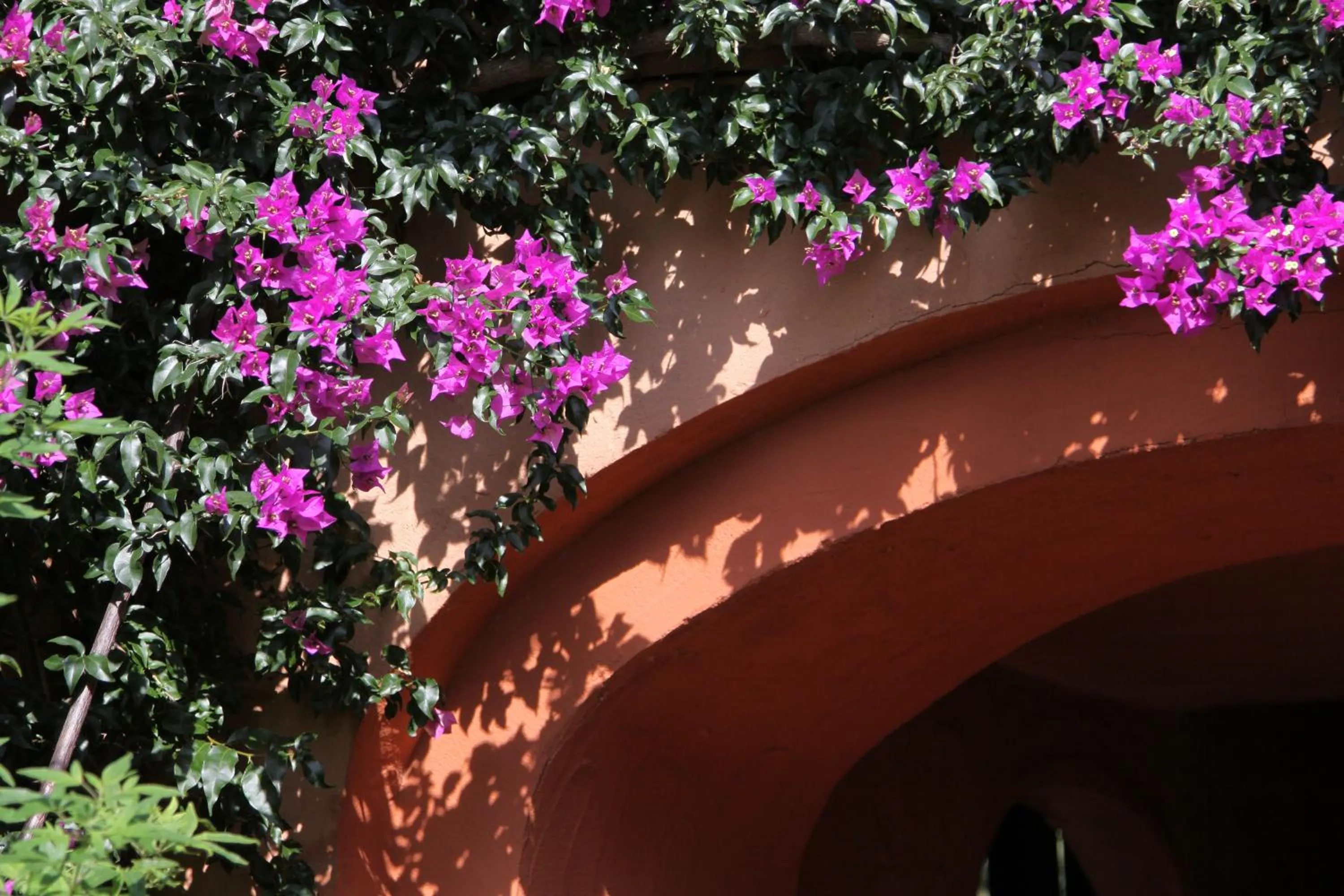 Decorative detail in Hôtel Castell'Verde