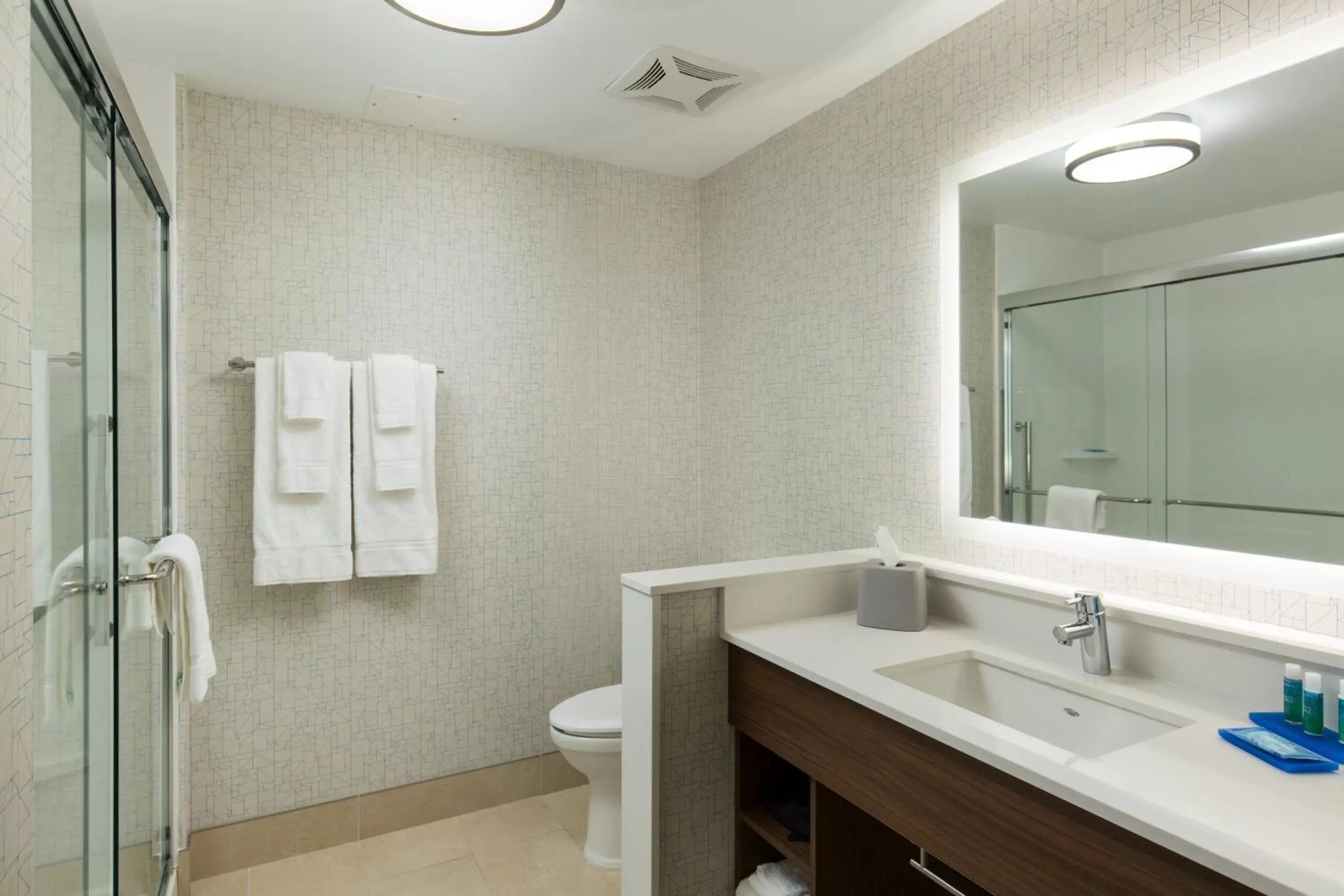 Bathroom in Holiday Inn Express Visalia-Sequoia Gateway Area, an IHG Hotel