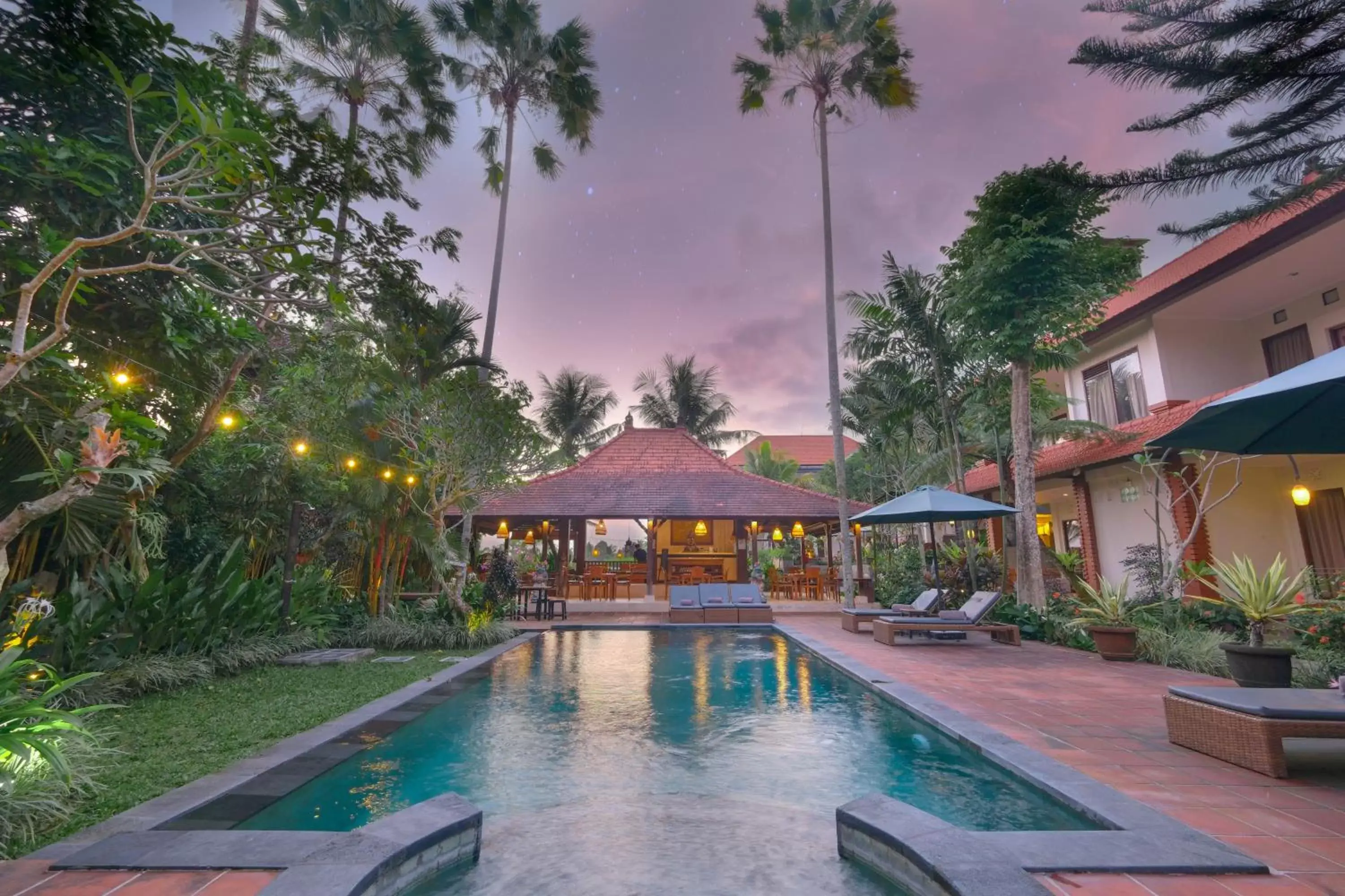 Natural landscape, Swimming Pool in Artini Bisma Ubud Hotel