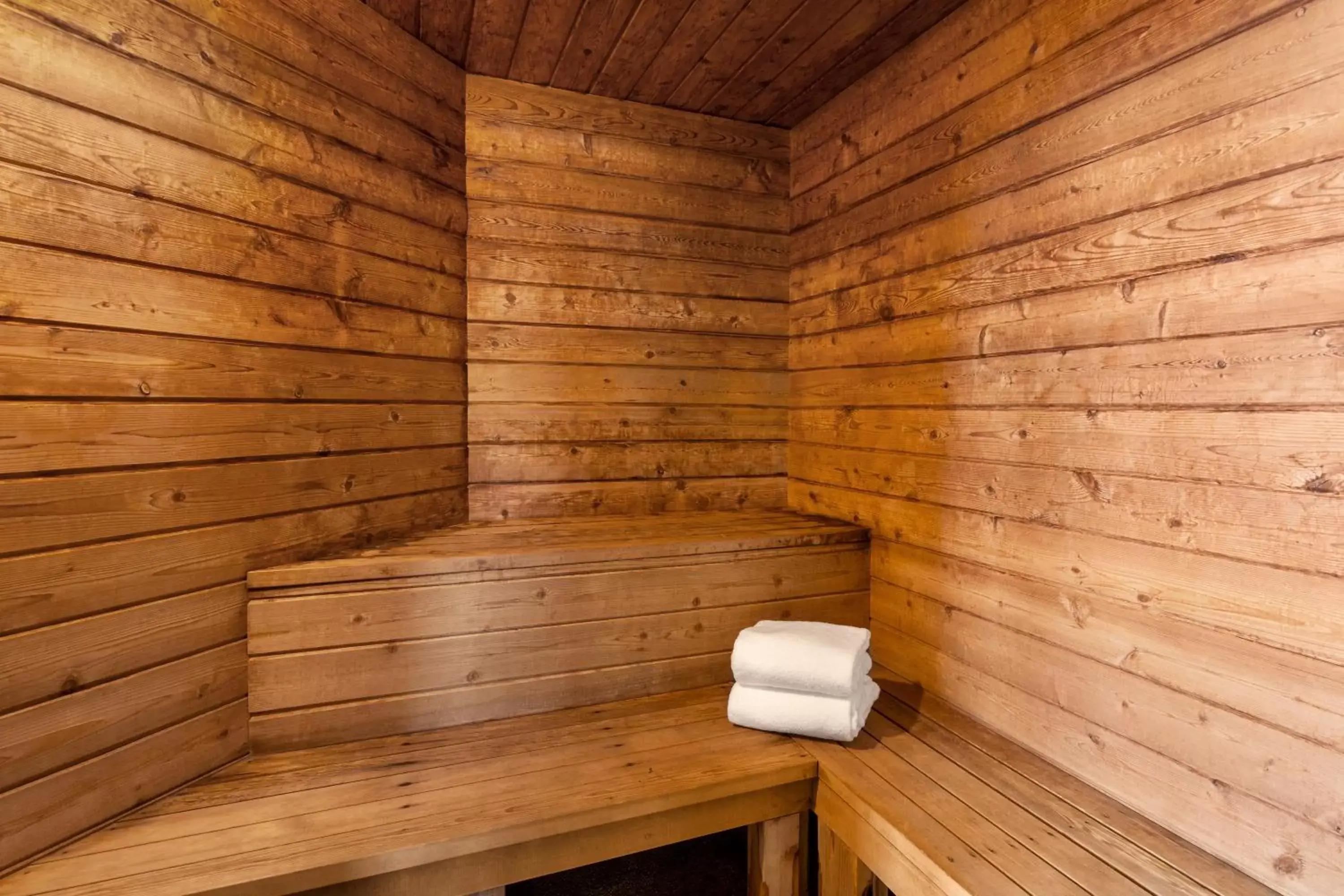 Sauna in AmericInn by Wyndham Sauk Centre