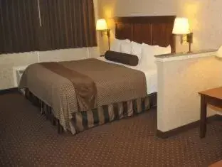 Bed in Best Western Plus Shamrock Inn & Suites