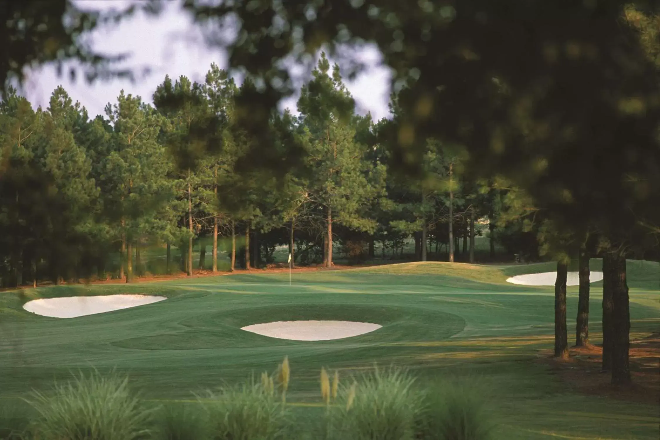 Sports, Golf in Hilton Raleigh North Hills