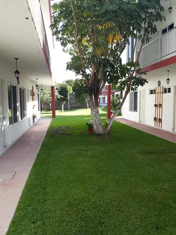 Garden in Hotel Quinta Paraiso